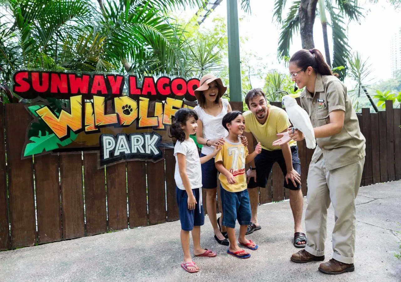 Activities in Sunway Pyramid Hotel