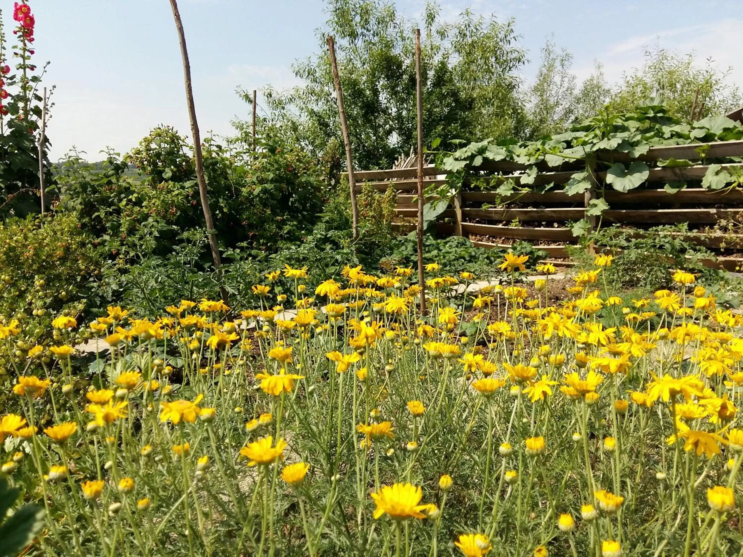 Garden in Hotel Gracanica