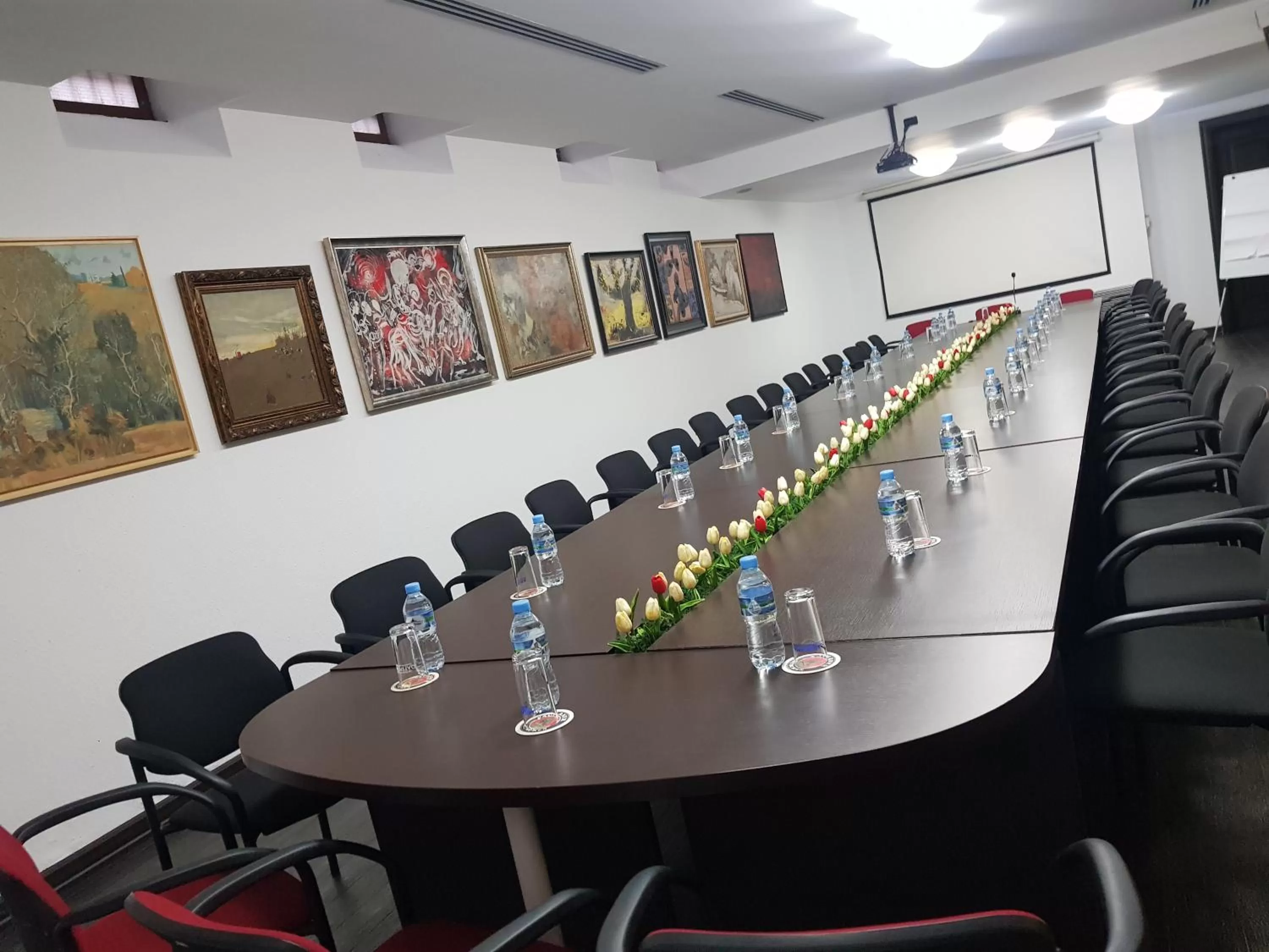 Meeting/conference room in Hotel Victoria Tirana