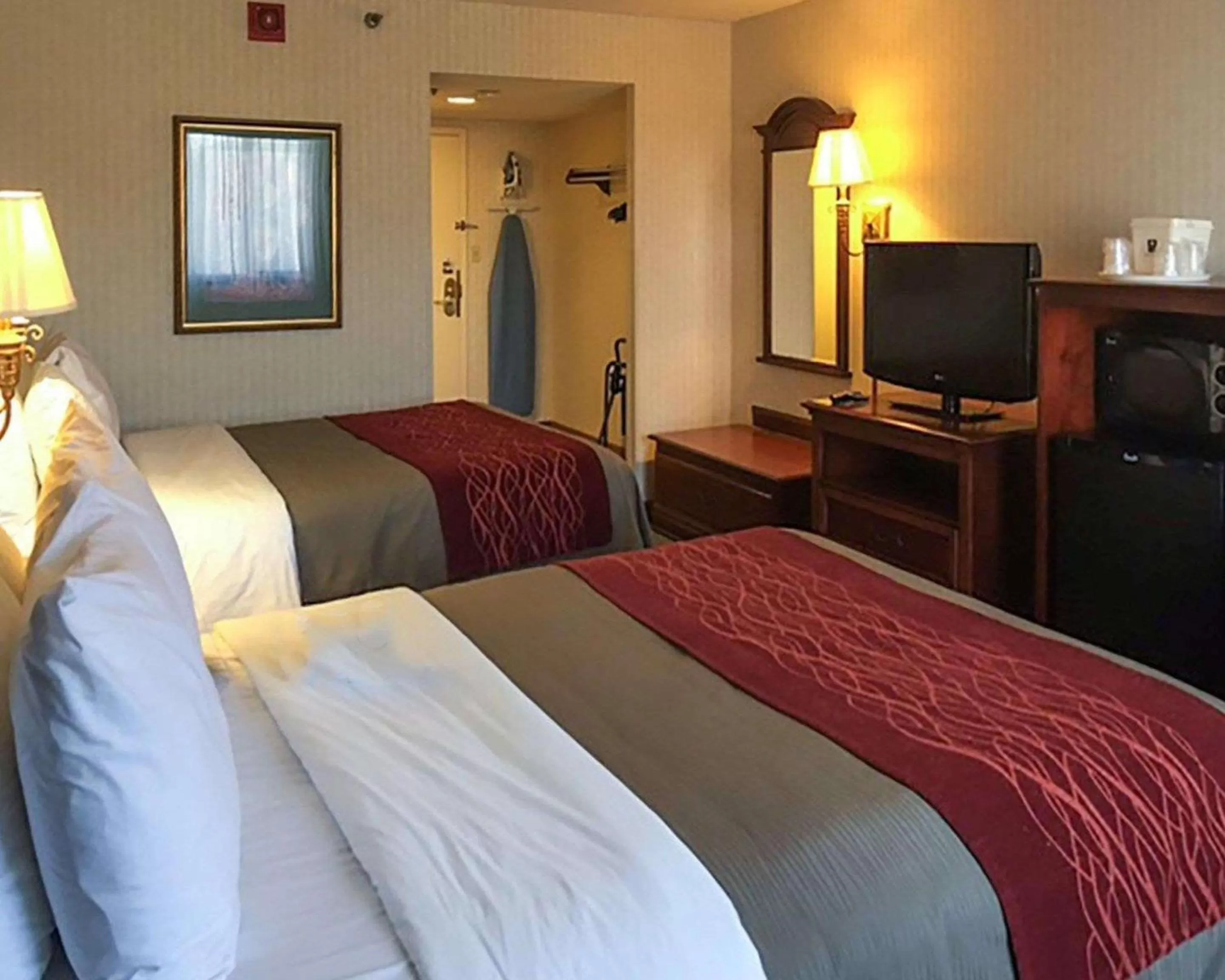 Photo of the whole room, Bed in Comfort Inn