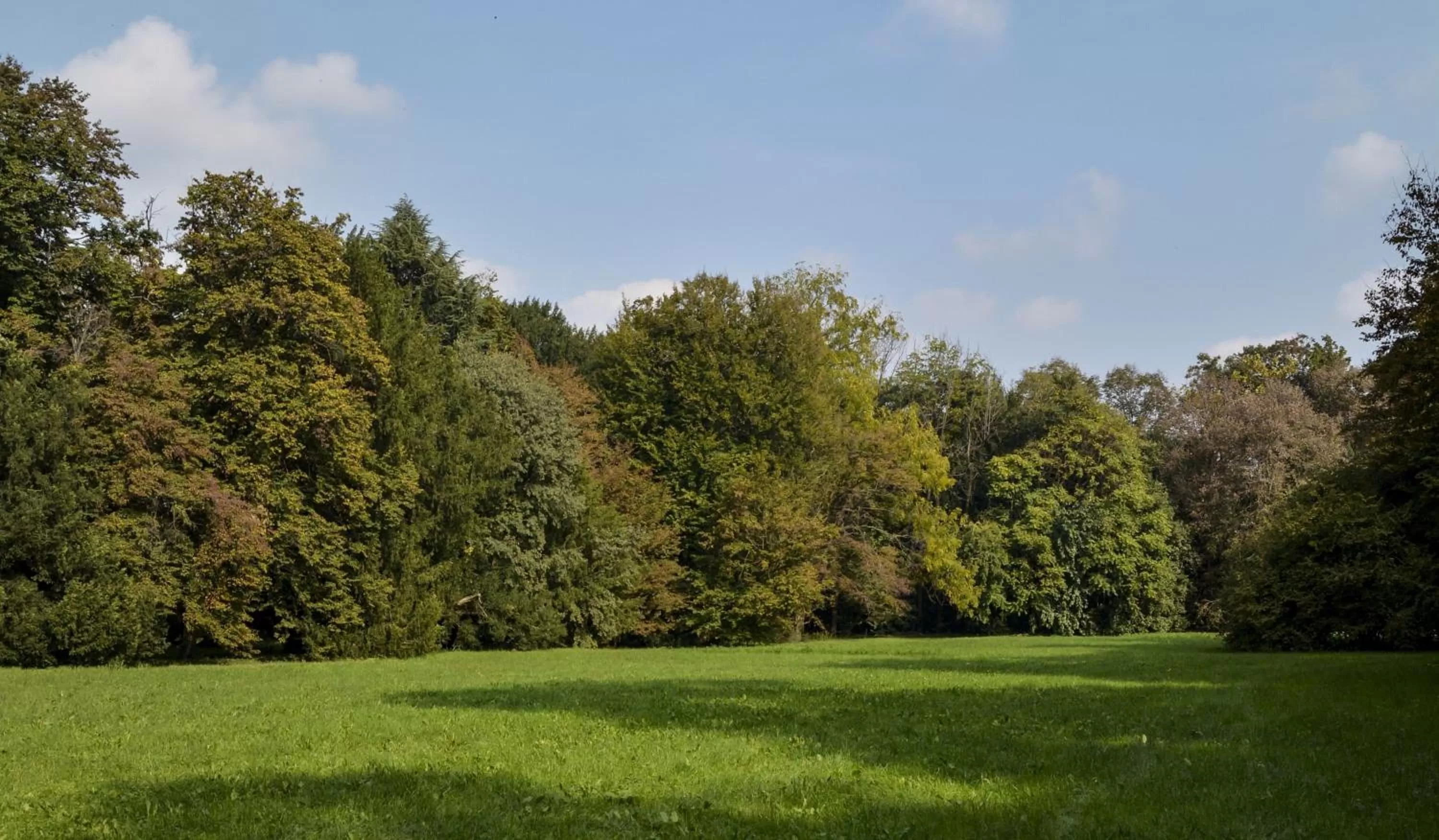 Garden in B&B Giardino Jappelli (Villa Ca' Minotto)