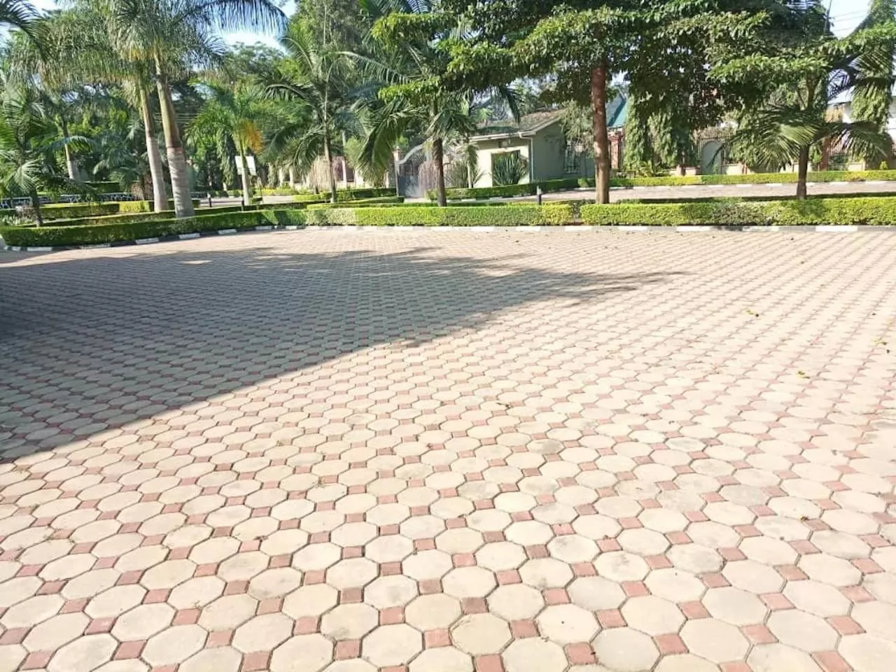 Natural landscape in Africa Lodge Arusha