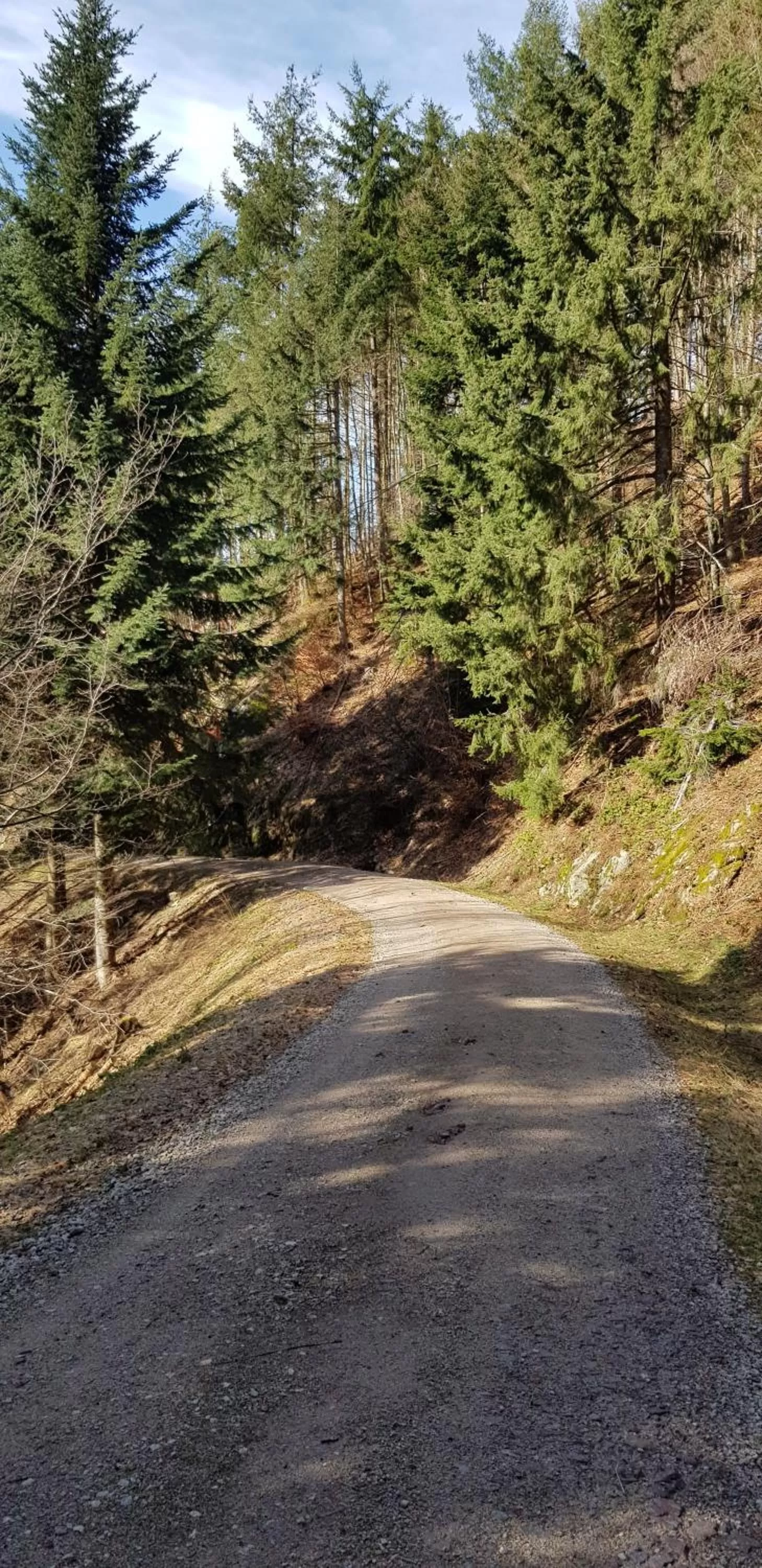 Hiking in Hotel Teuchelwald