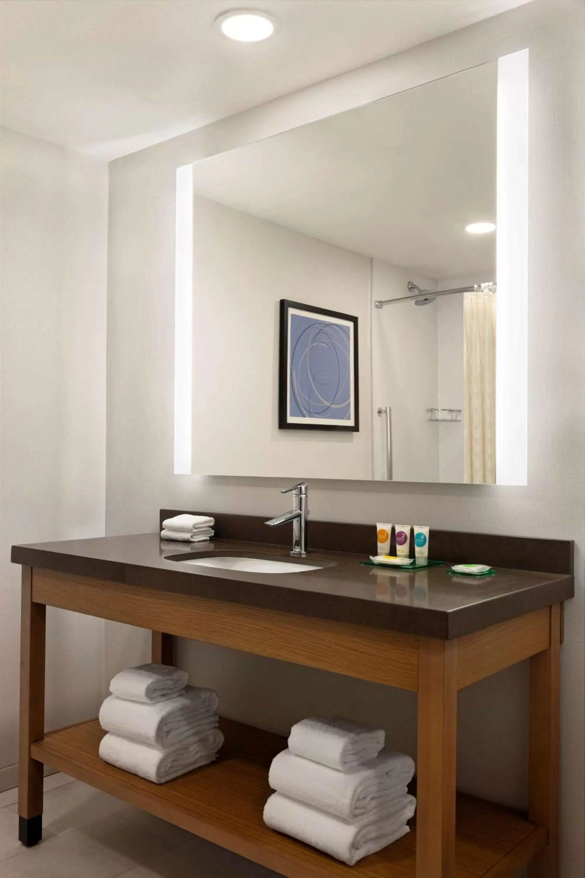 Bathroom in Hyatt Place Tucson Central