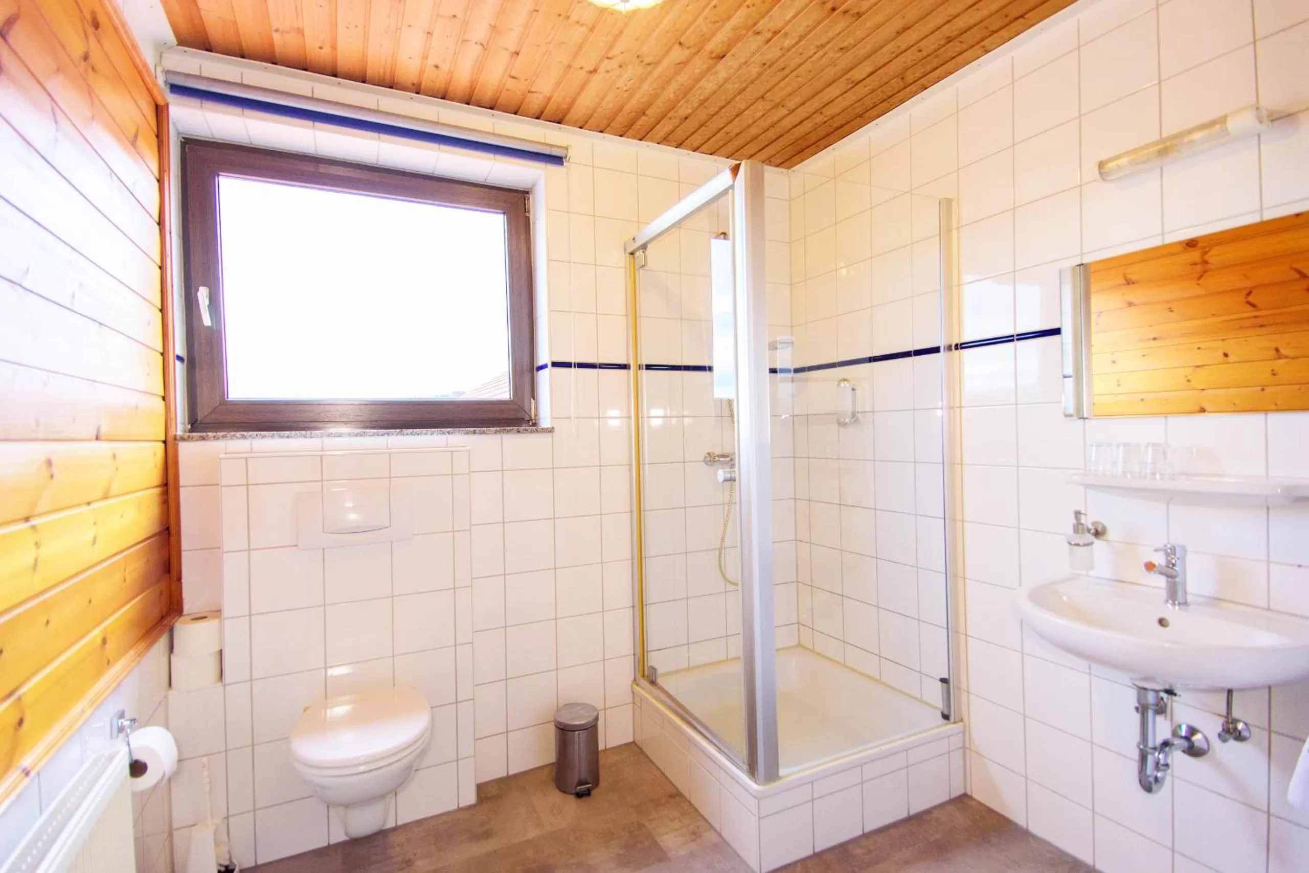 Shower in Hotel Bohn