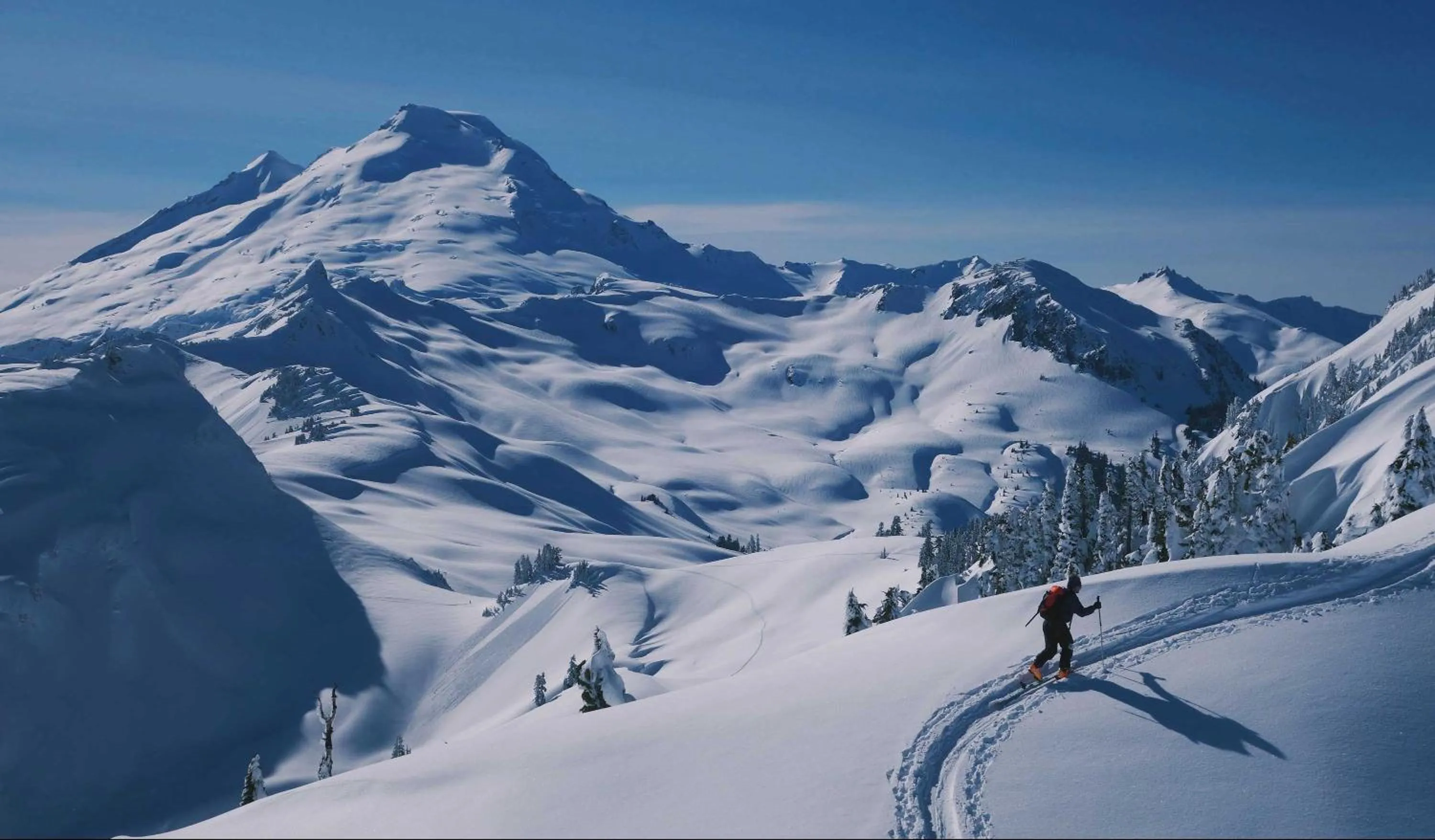 Neighbourhood in Alpine Inn Abbotsford