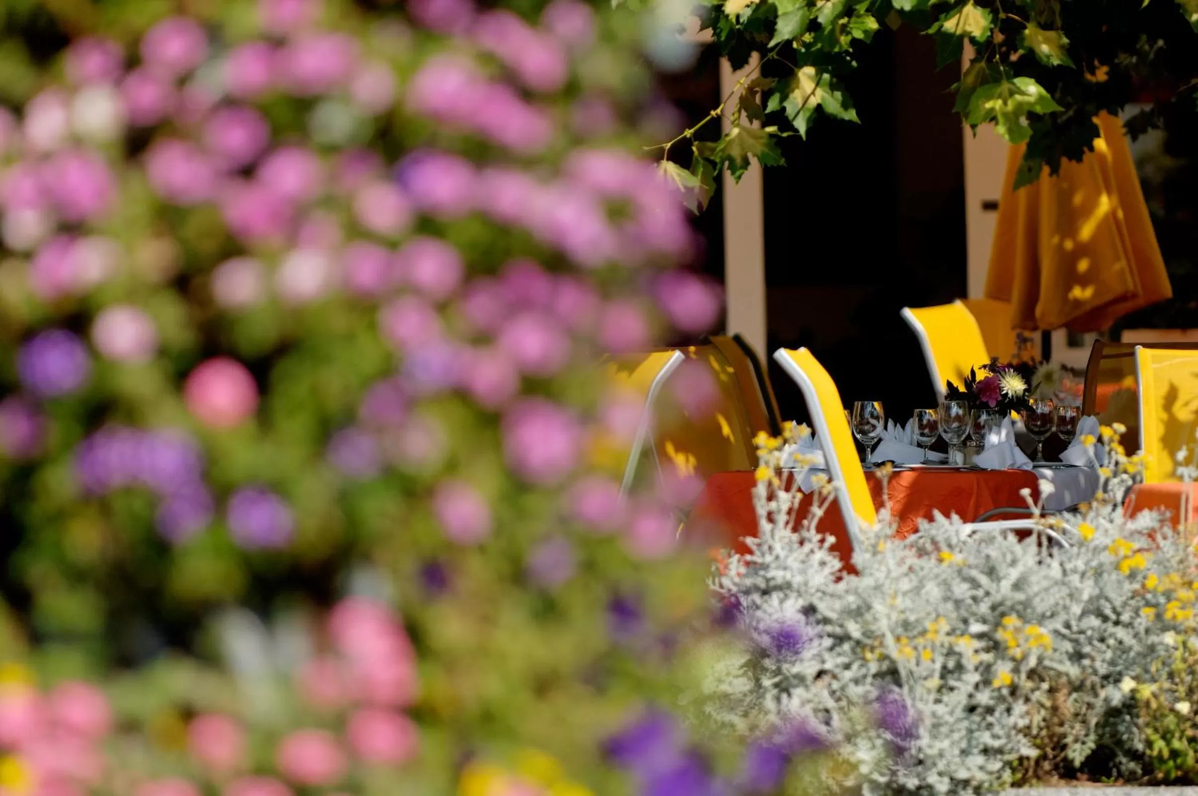 Garden in Hotel Beausite