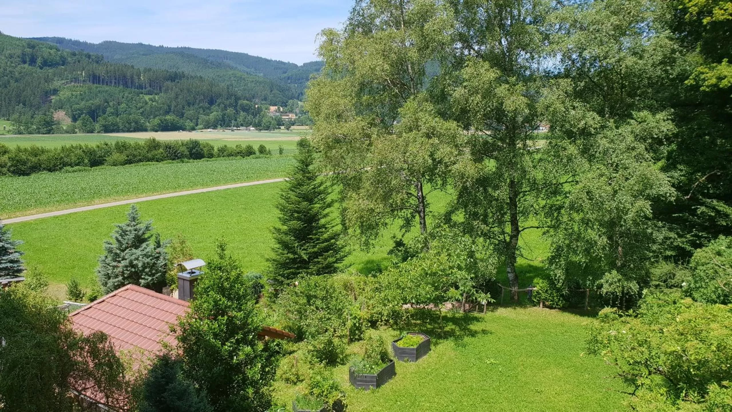 View (from property/room) in Silberkönig Schwarzwald Hotel & Restaurant Ringhotel