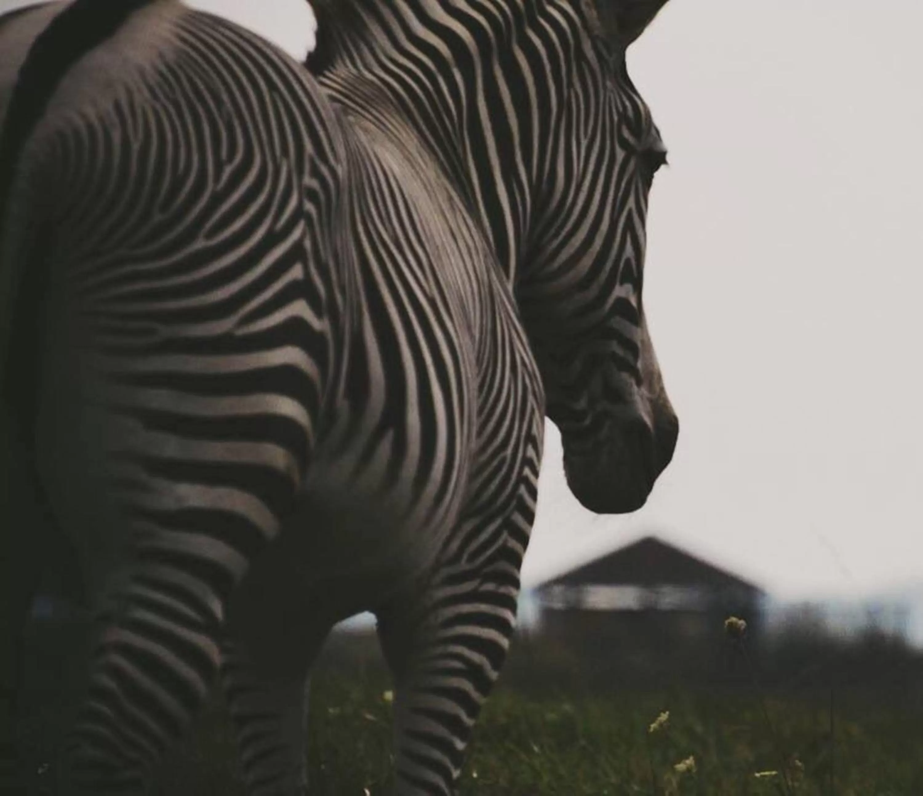 Nearby landmark in Holiday Inn Express & Suites Zanesville North by IHG