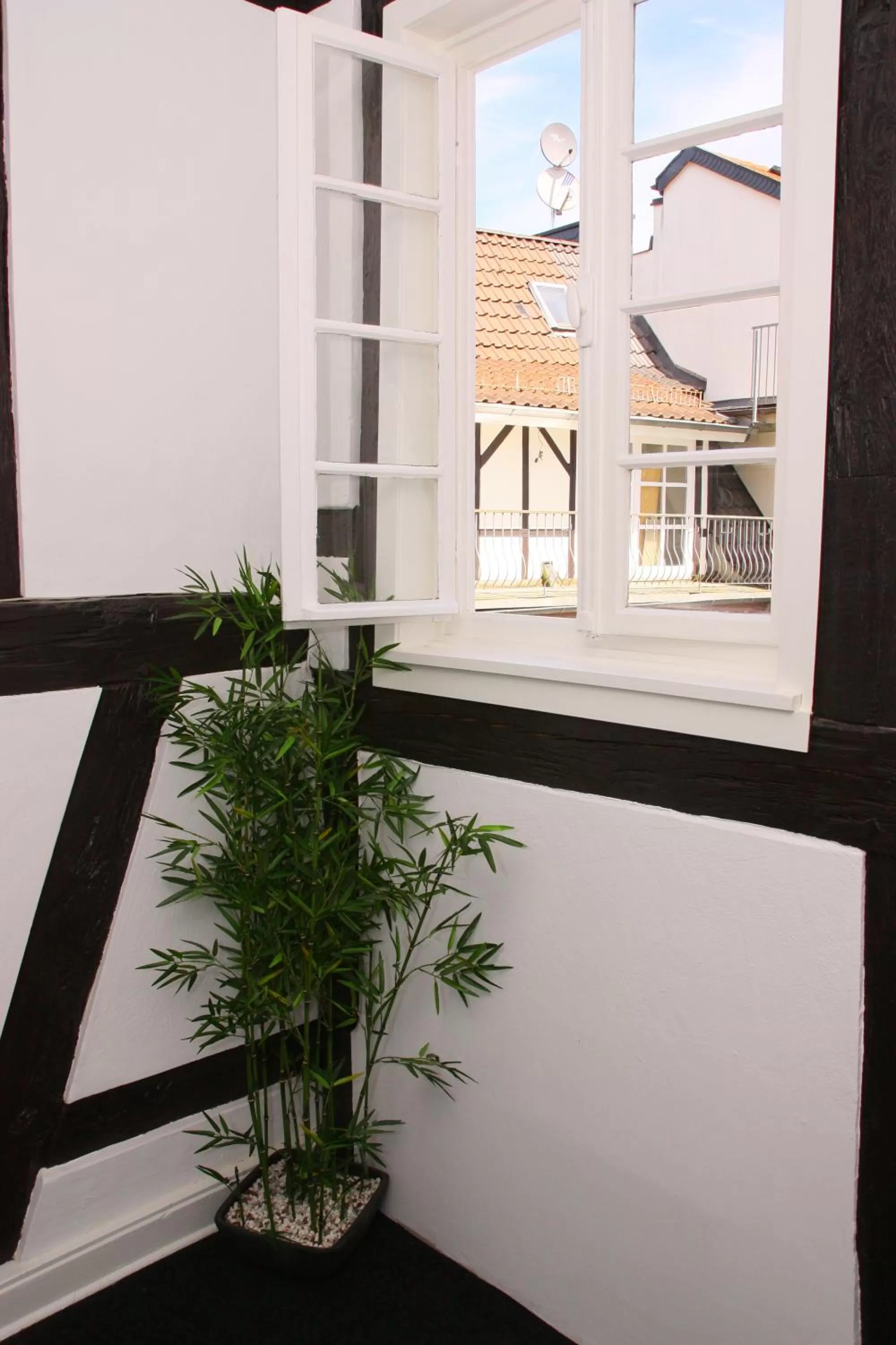 Area and facilities in Hotel am Schloss