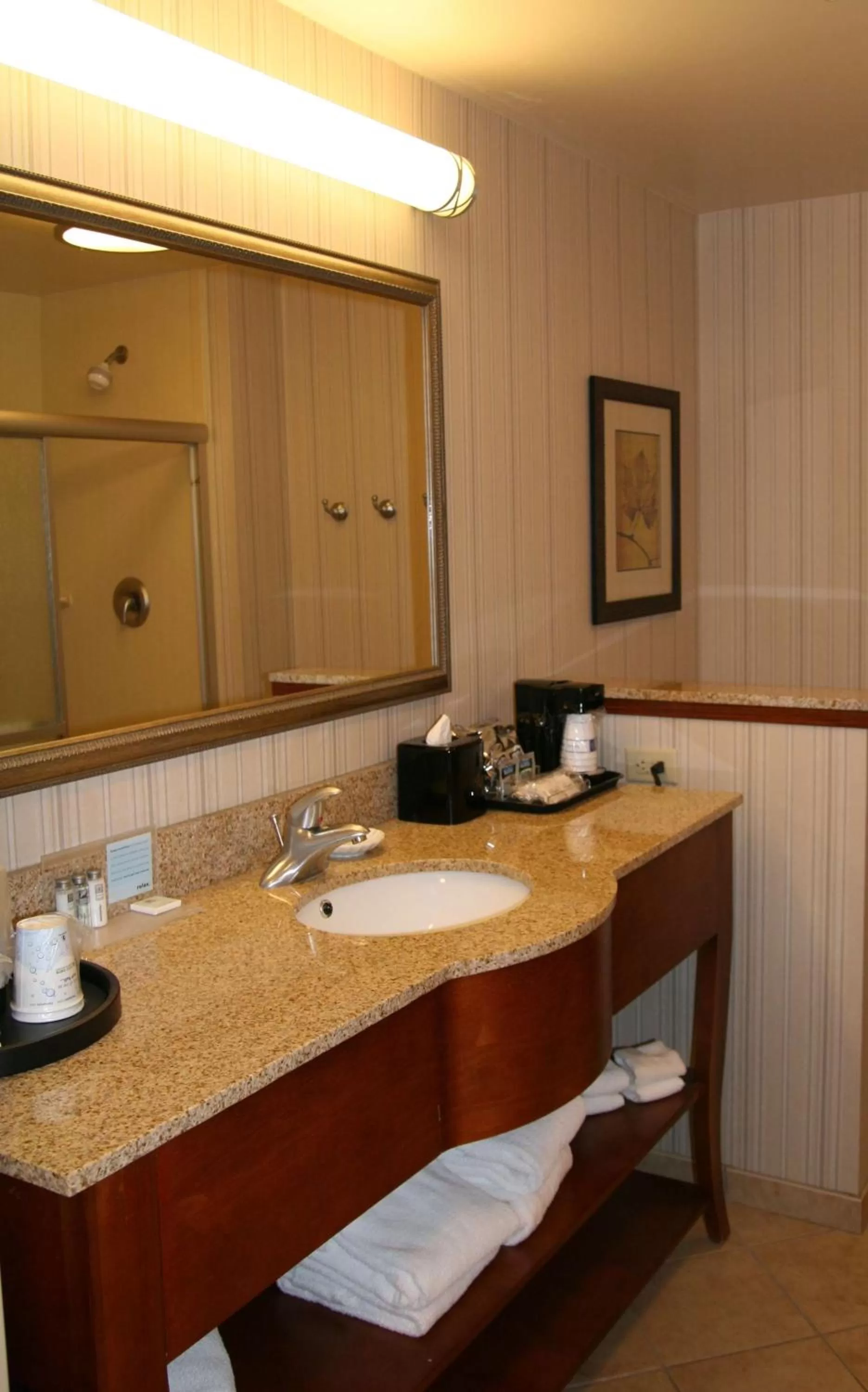 Bathroom in Hampton Inn & Suites Paducah