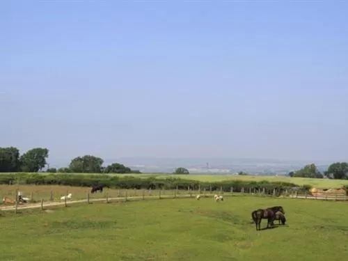 Property building, Other Animals in Lily Hill Farm