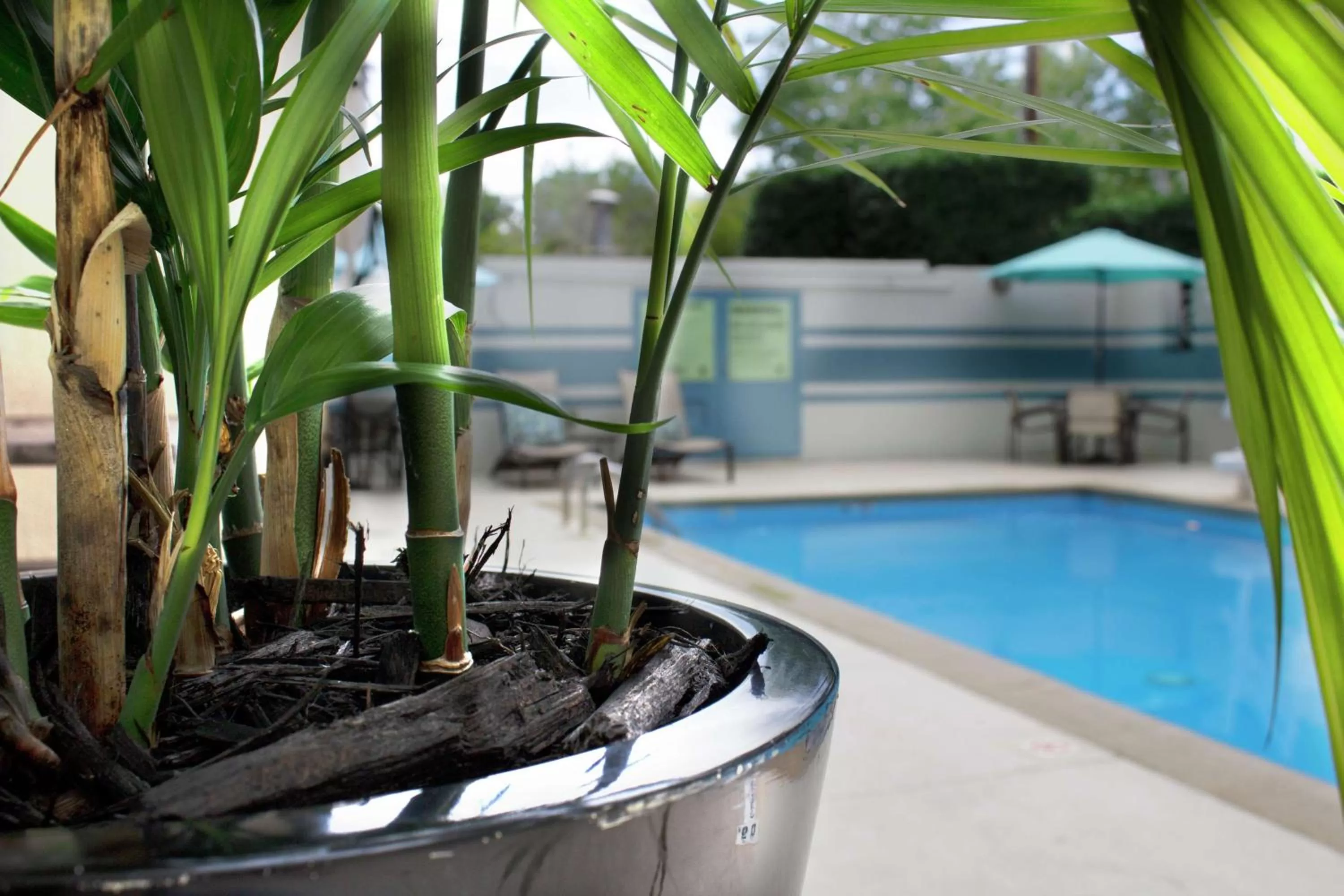 Pool view, Swimming Pool in DoubleTree by Hilton Charlotte Gateway Village