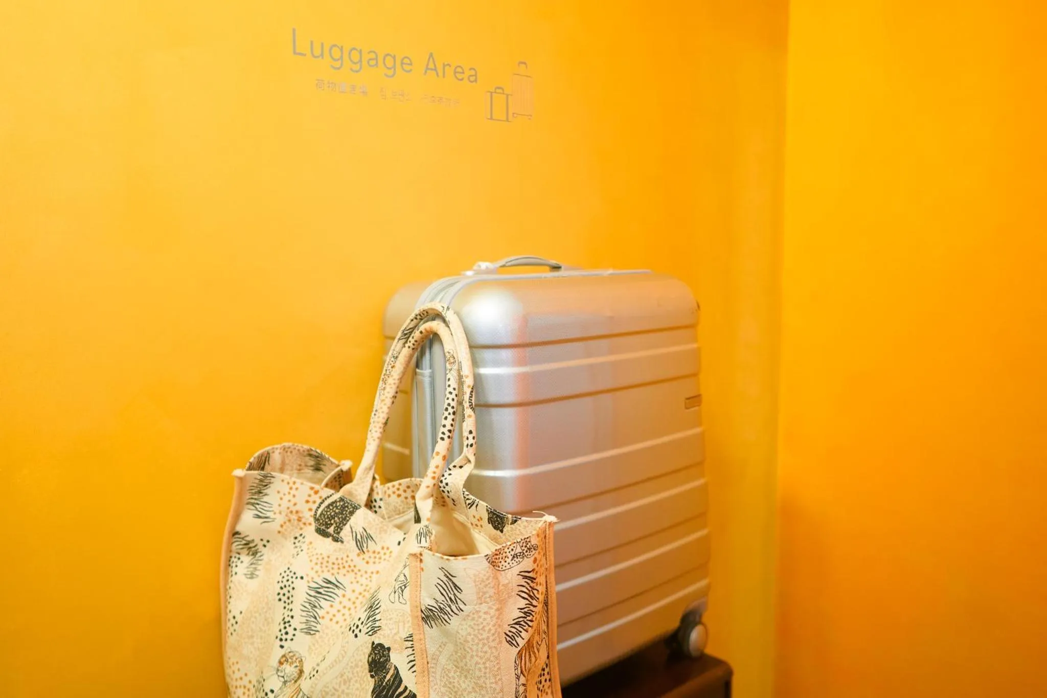 Communal lounge/ TV room in Hostel Casa Noda