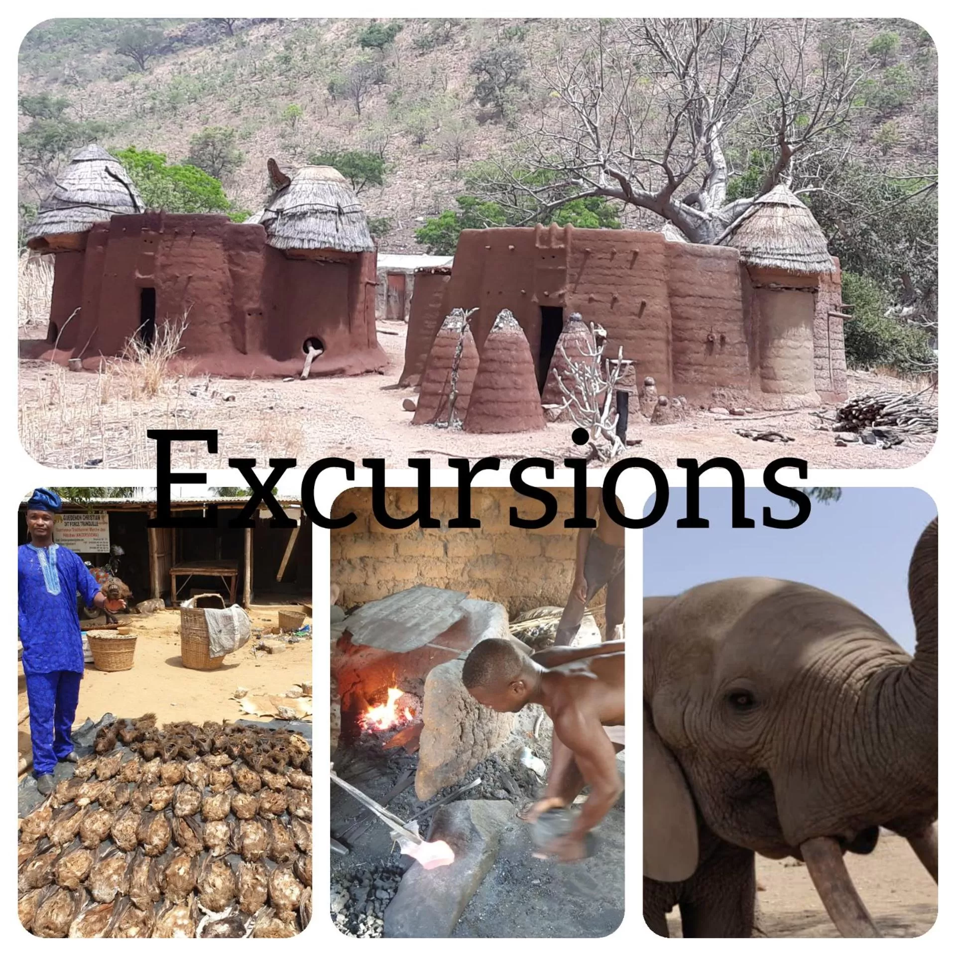 Activities in CASE de ROBINSON