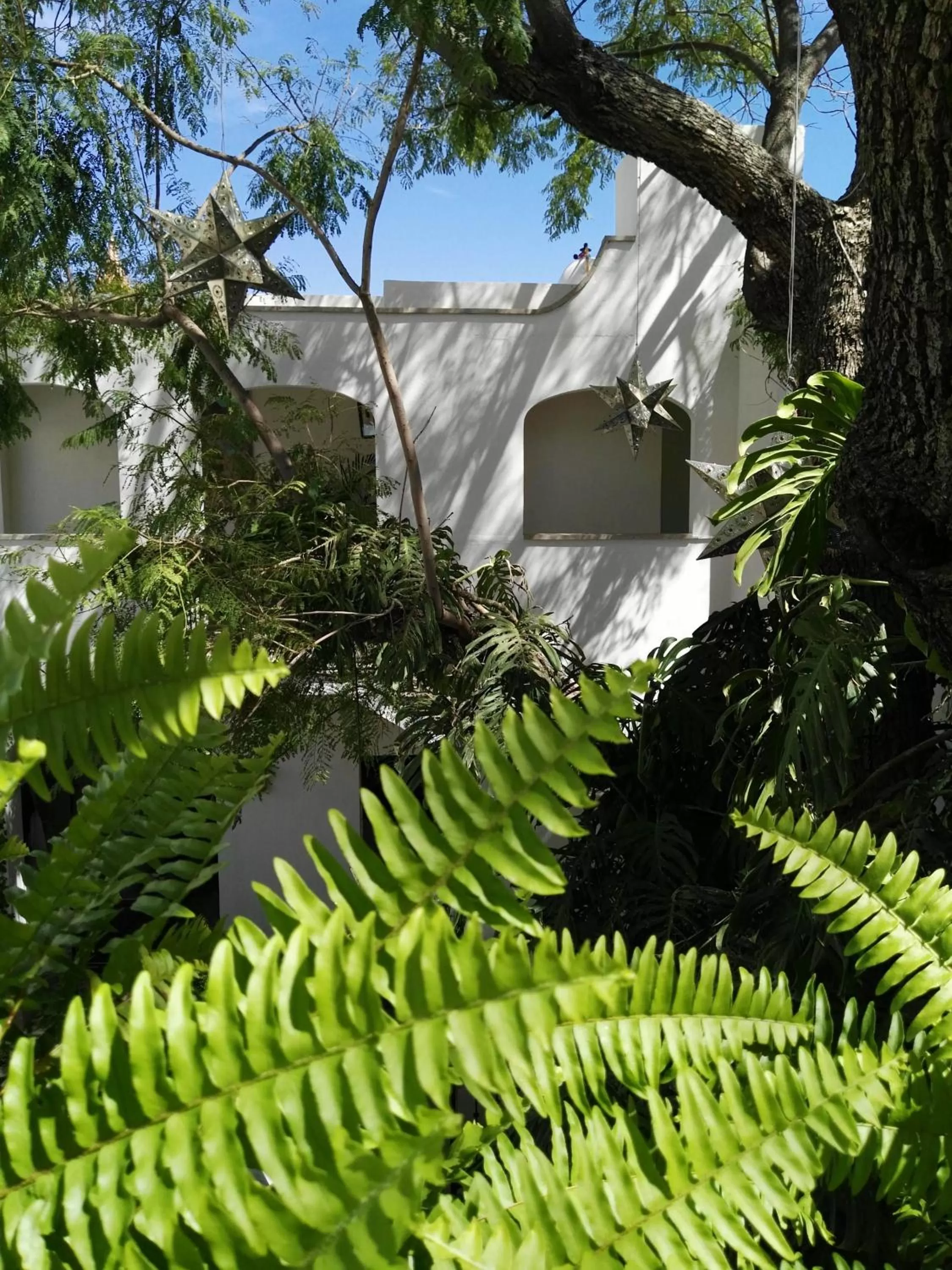 Property building in Casa Laní Luxury B&B