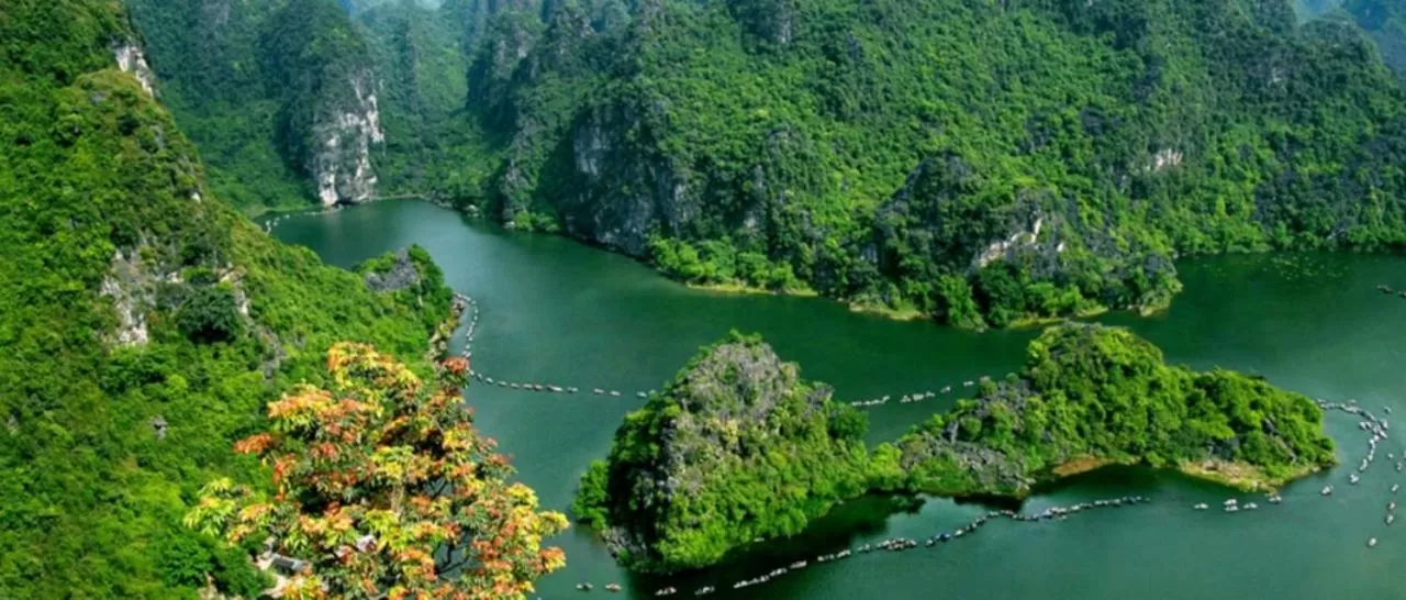 Natural landscape, Bird's-eye View in Green Space Homestay