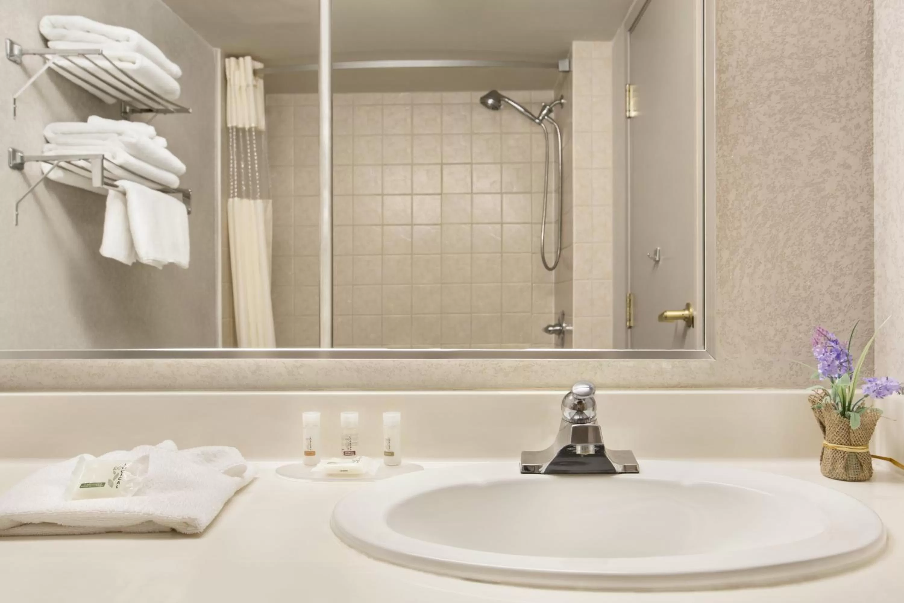 Bathroom in Days Inn by Wyndham Ottawa Airport