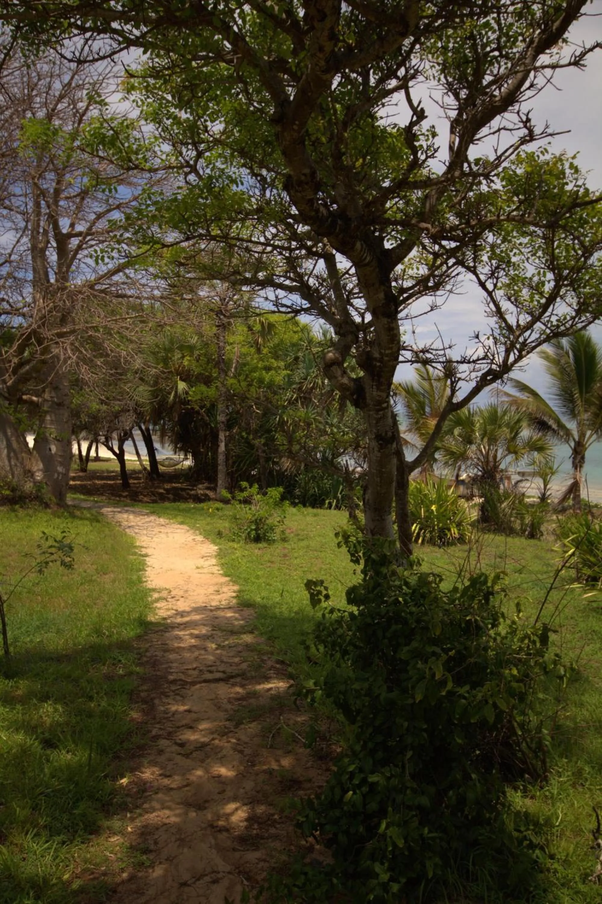 Facade/entrance in Amani Beach Resort