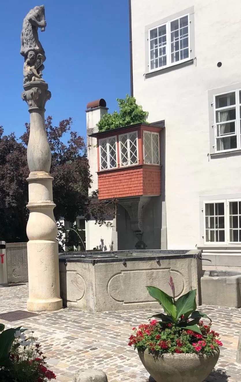 Garden in Good4Yew BnB