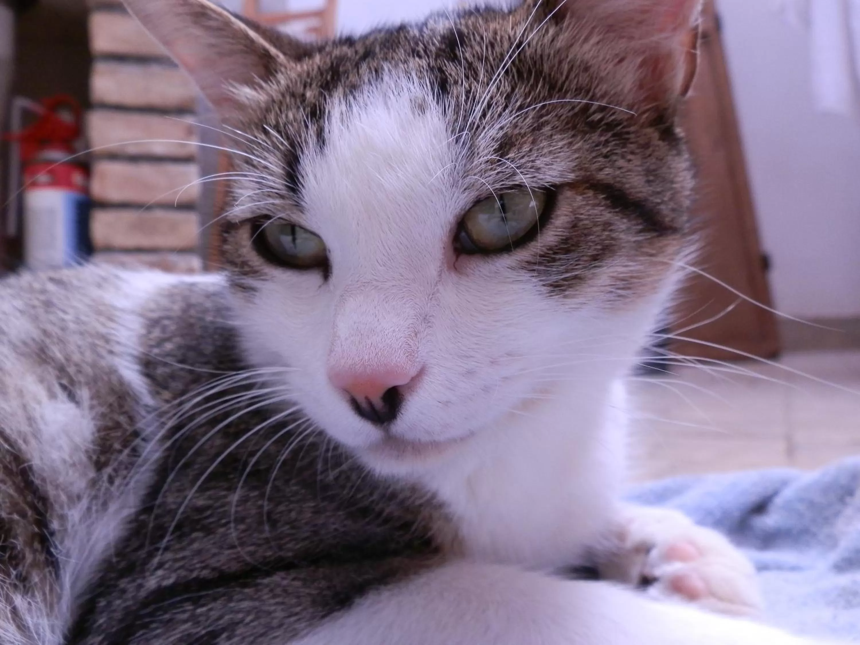 Other in B&B Re Umberto