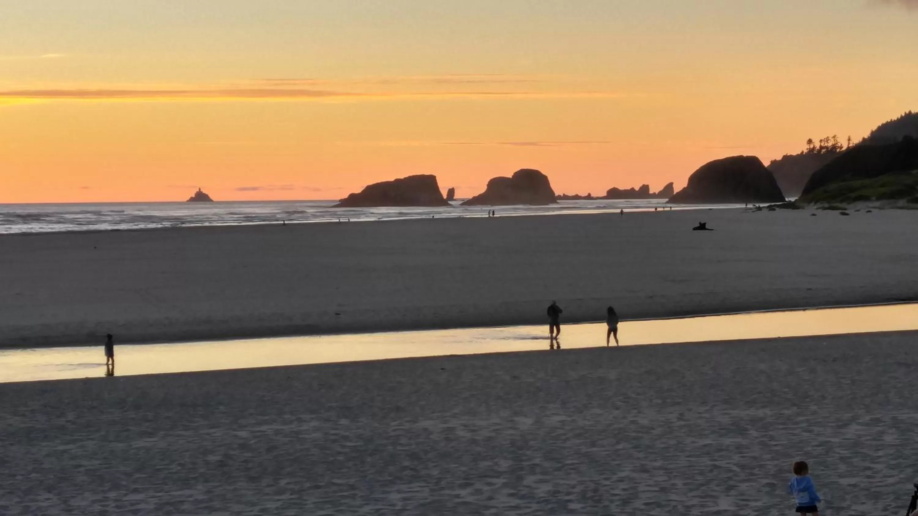 Sea view in The Waves