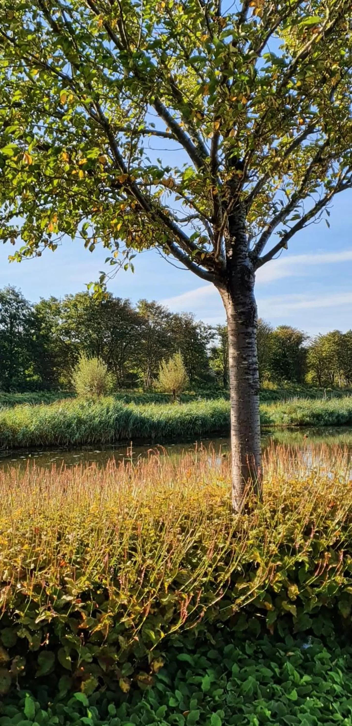 Natural landscape in B&B Apartment Amsterdam Schiphol Airport