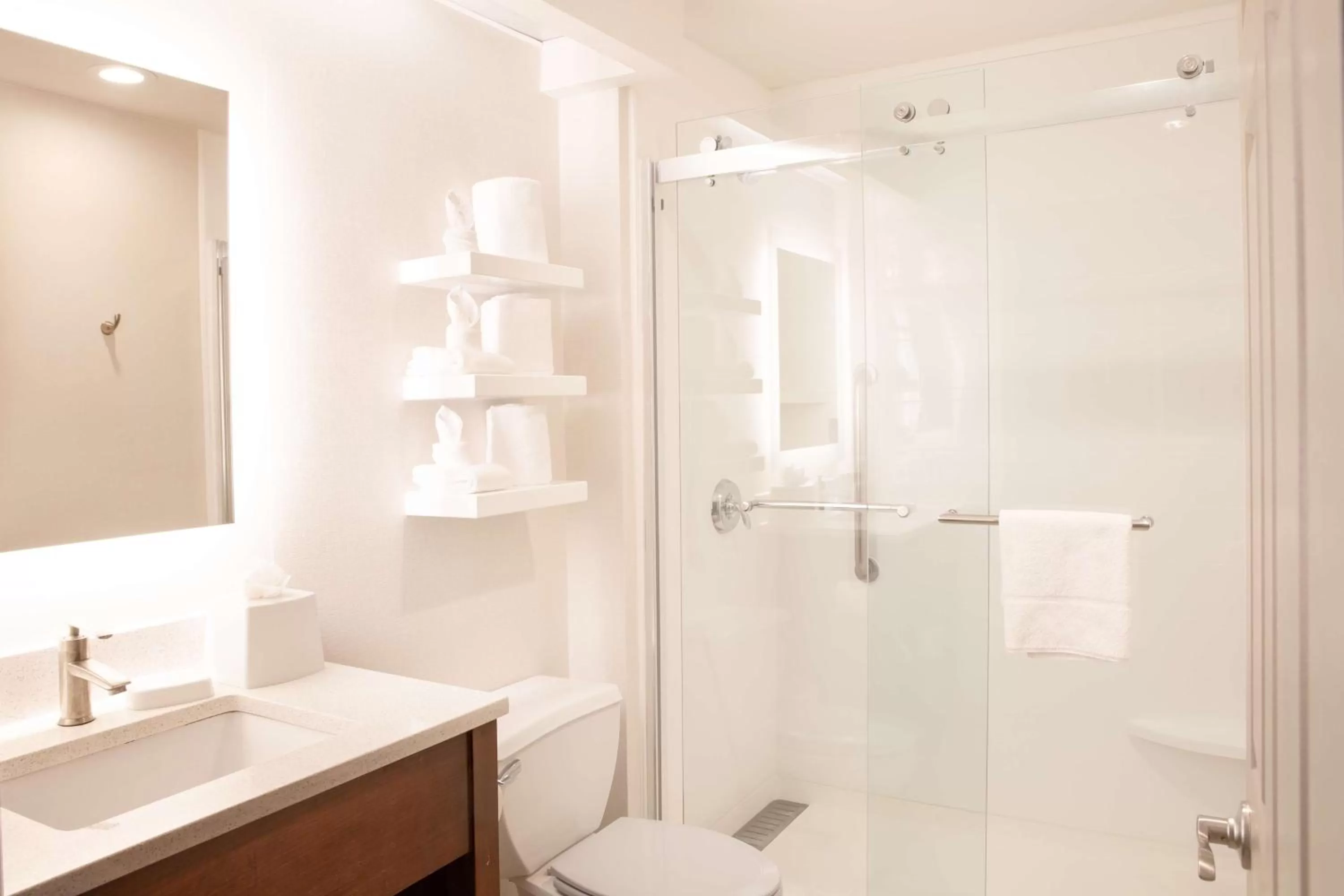 Bathroom in Hampton Inn & Suites Seattle-Downtown