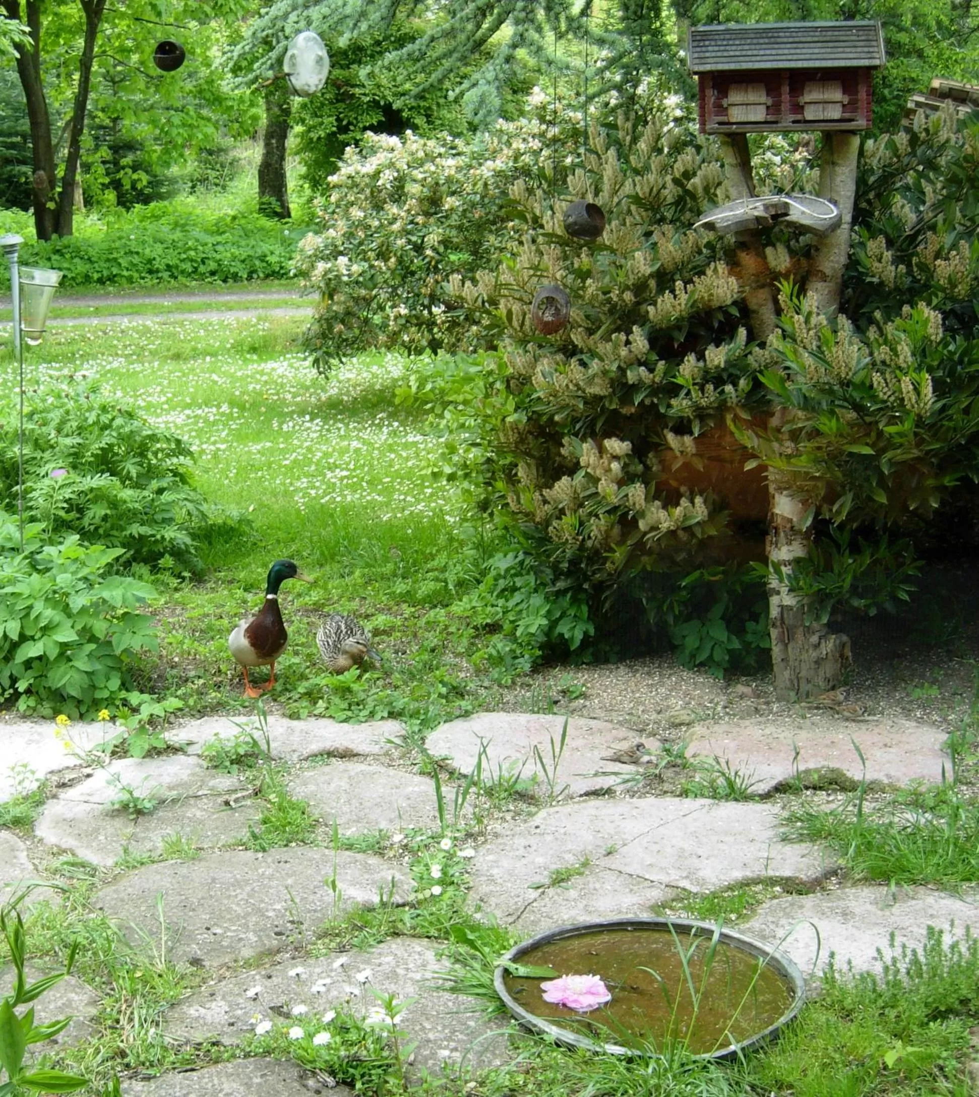 Garden in Heddahgaarden
