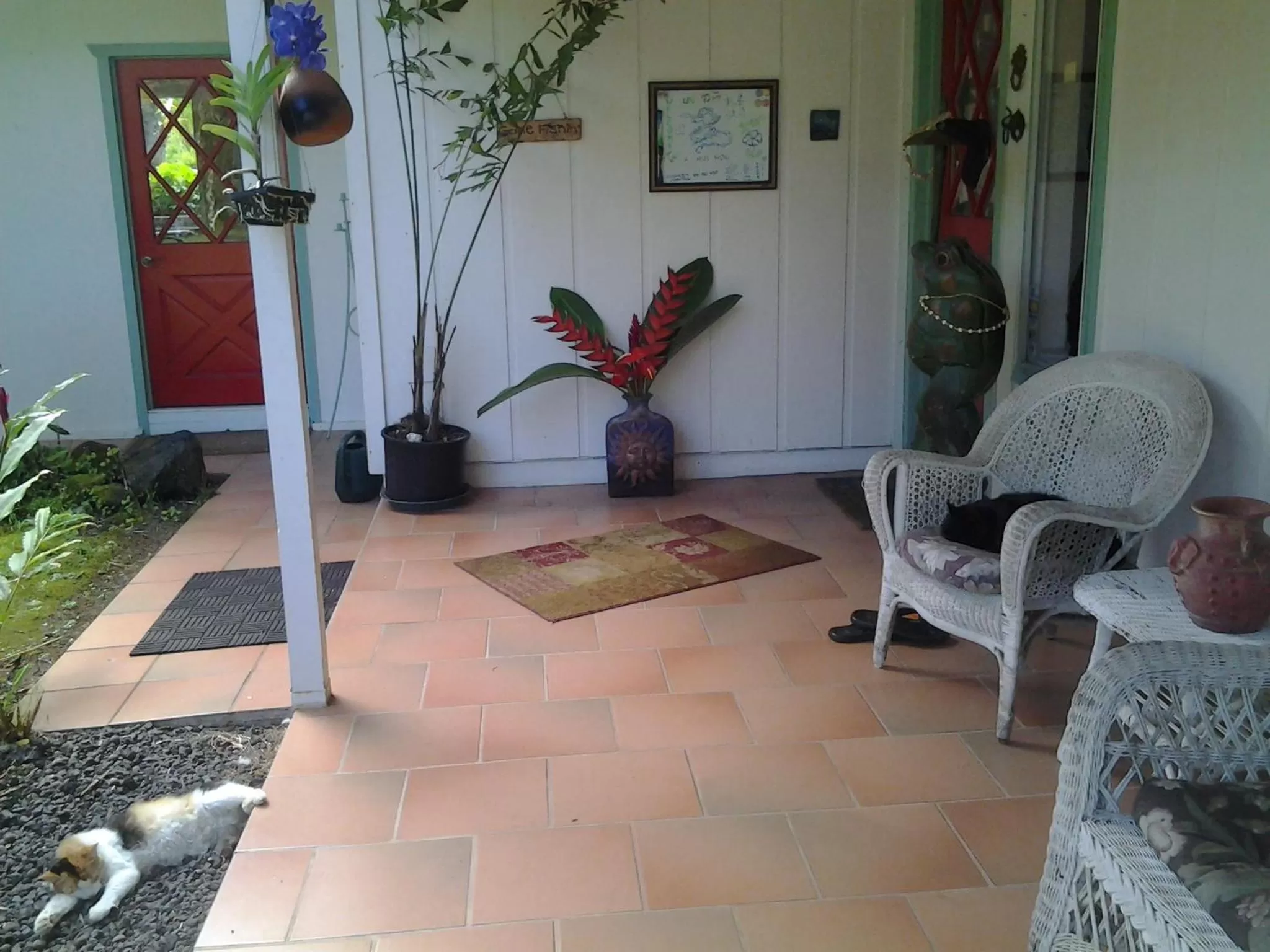 Balcony/Terrace in Lava Tree Tropic Inn
