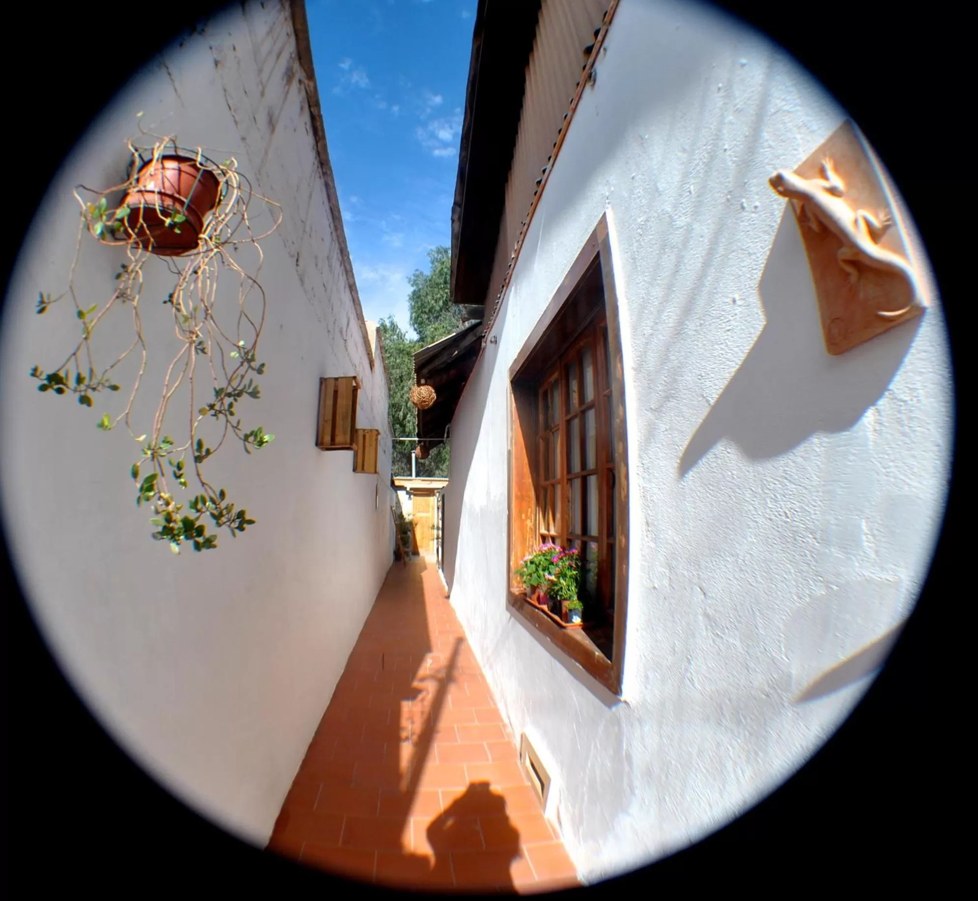 Hotel Boutique Molzano