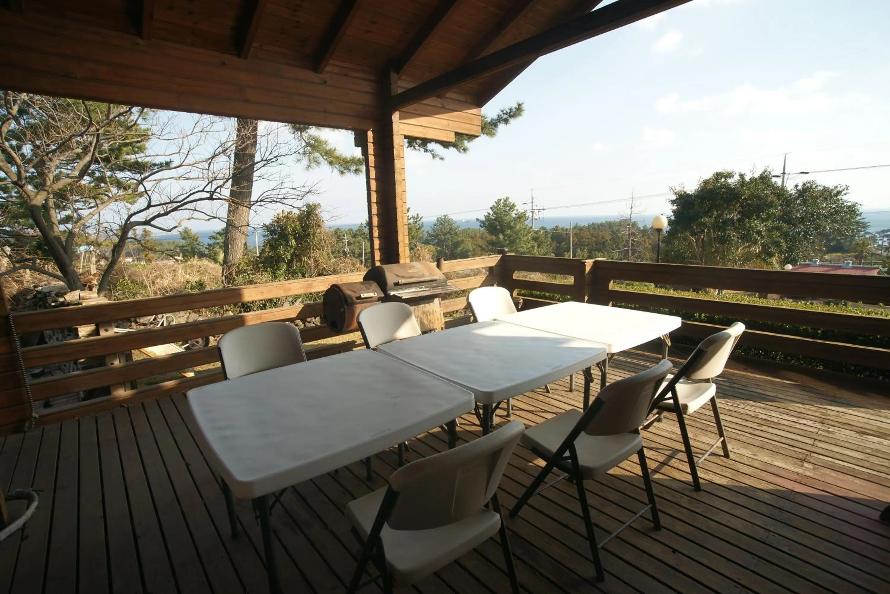 Day in Sunny Day Jeju