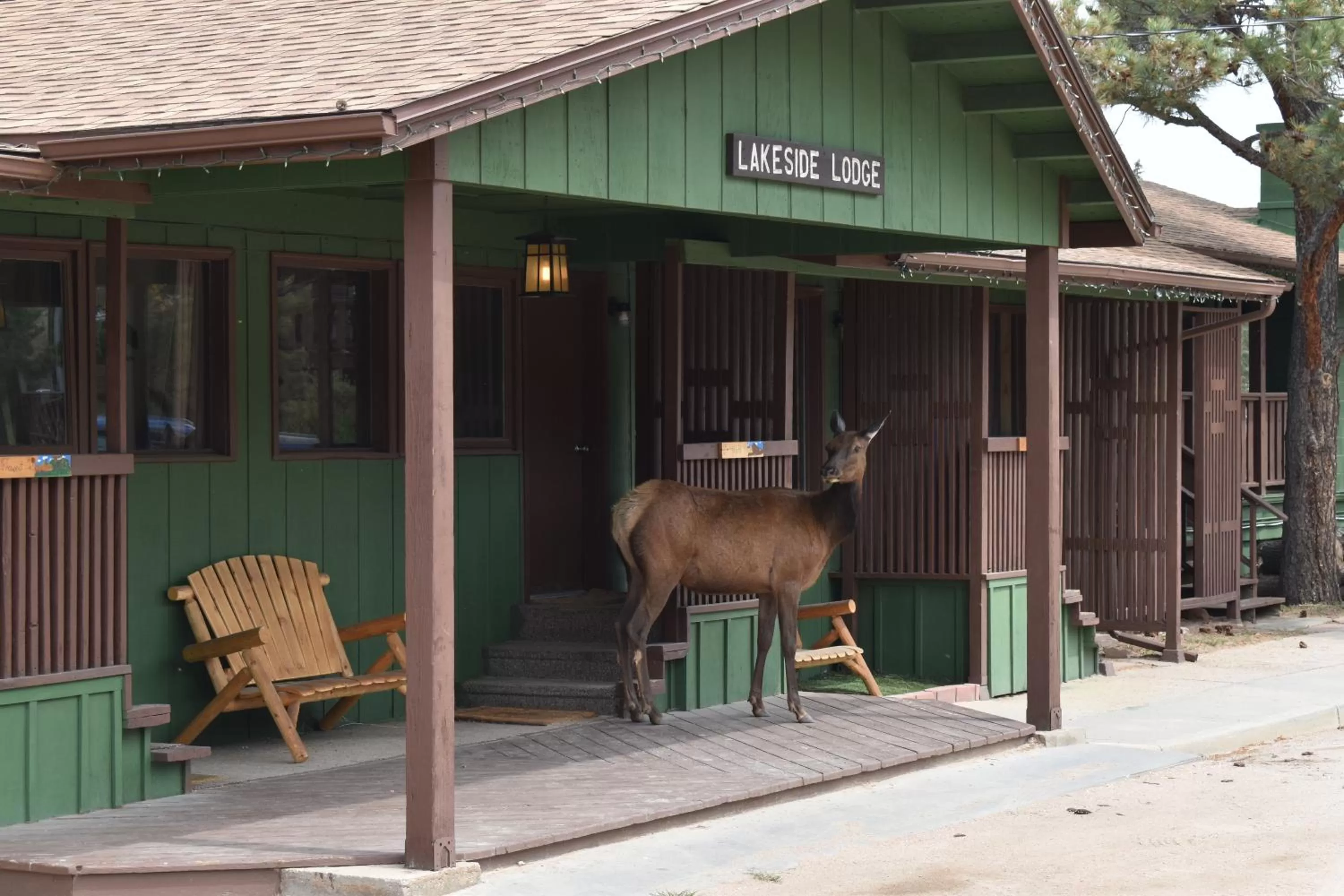 Estes Lake Lodge
