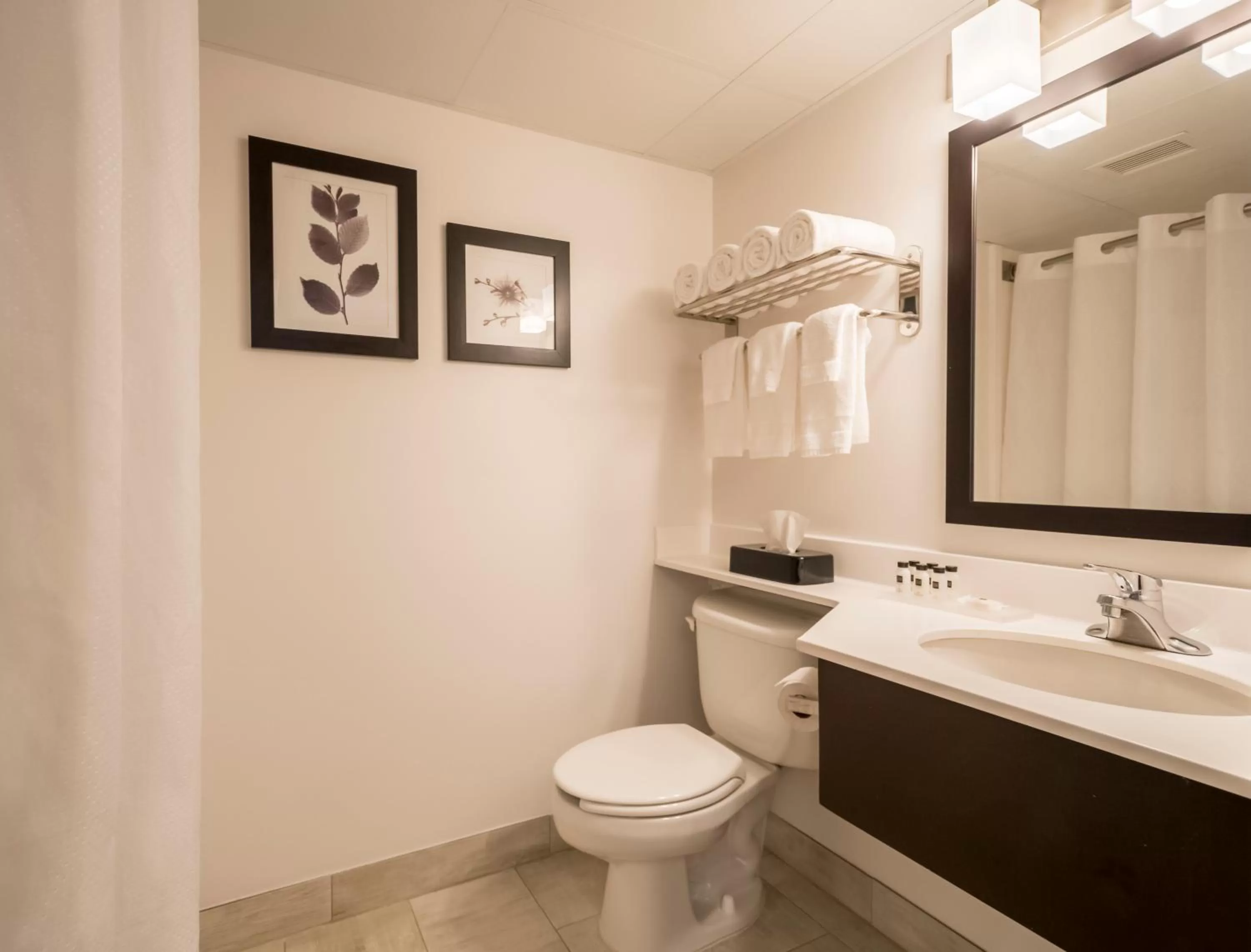 Bathroom in Country Inn & Suites by Radisson, Rochester-Pittsford-Brighton, NY