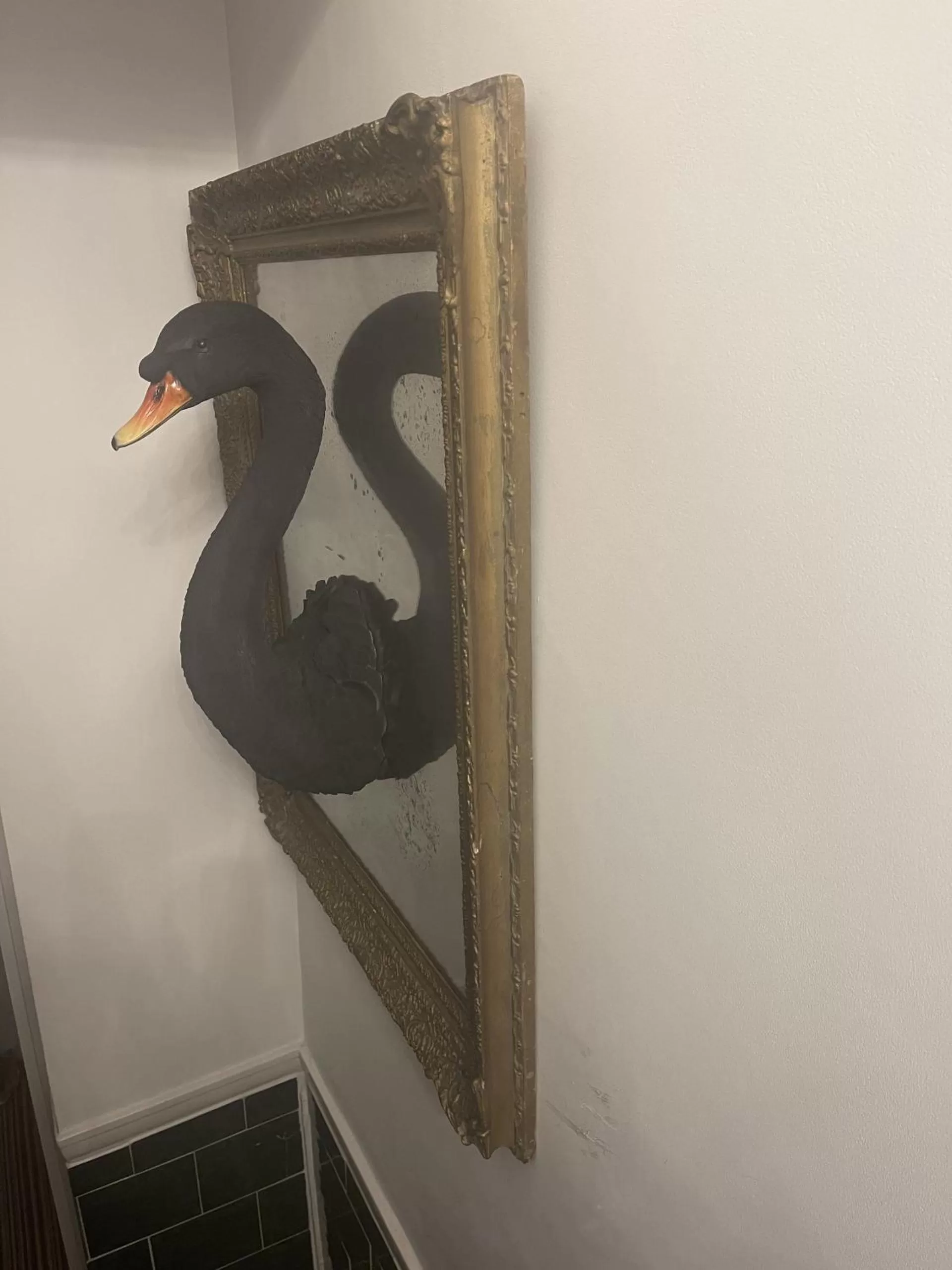 Other in The Twenty One