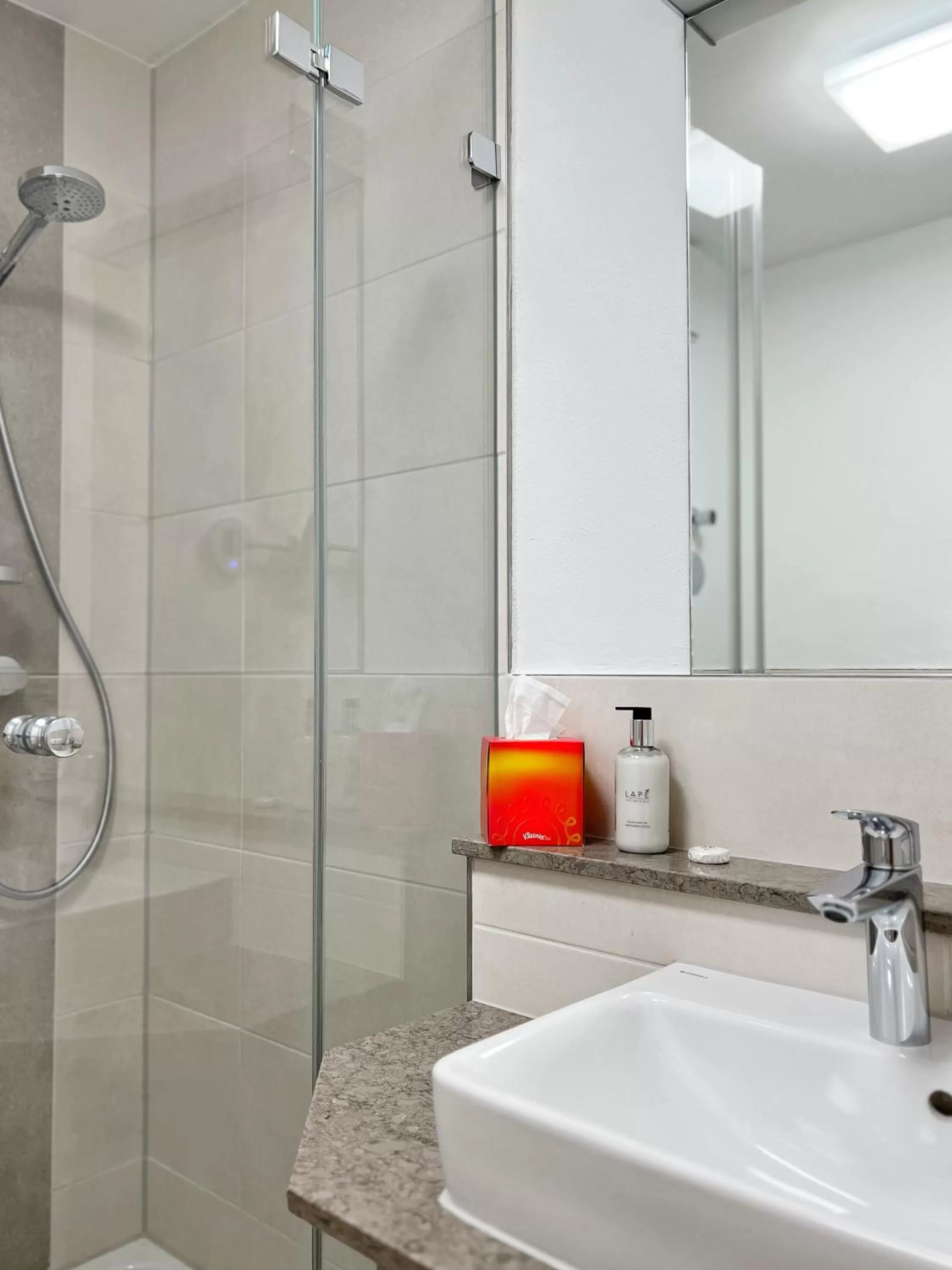 Shower in Hotel Prinz