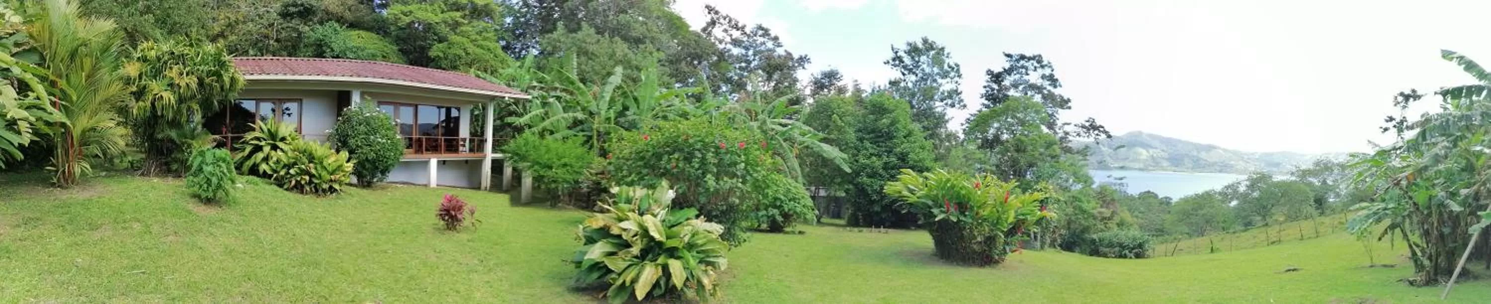 Property building in La Ceiba Tree Lodge