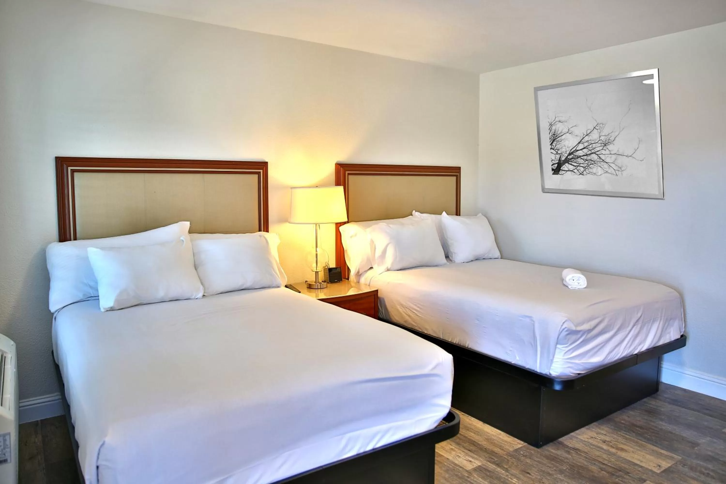 Photo of the whole room, Bed in Travelodge by Wyndham Crescent City