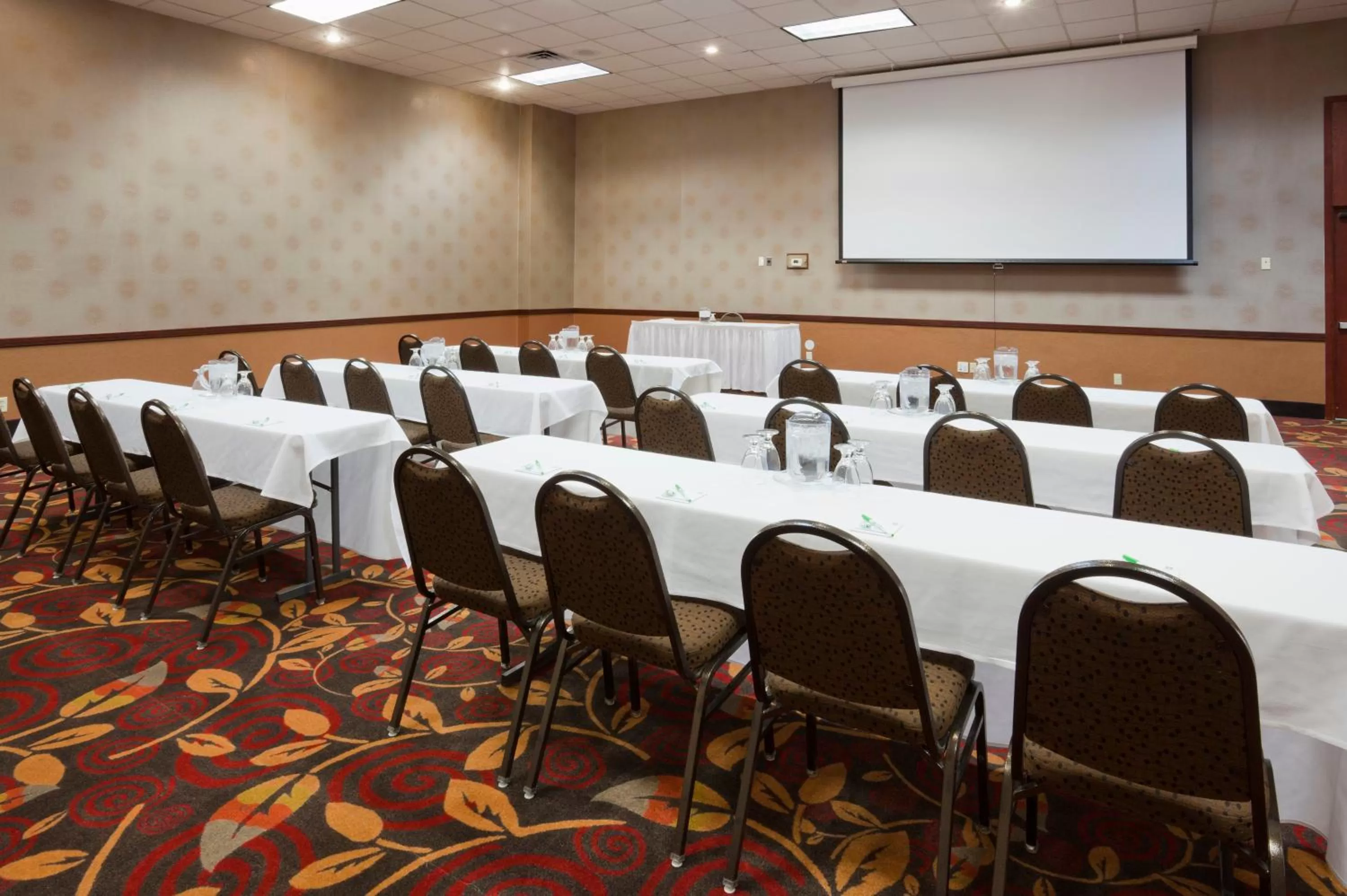 Meeting/conference room in Holiday Inn Alexandria by IHG