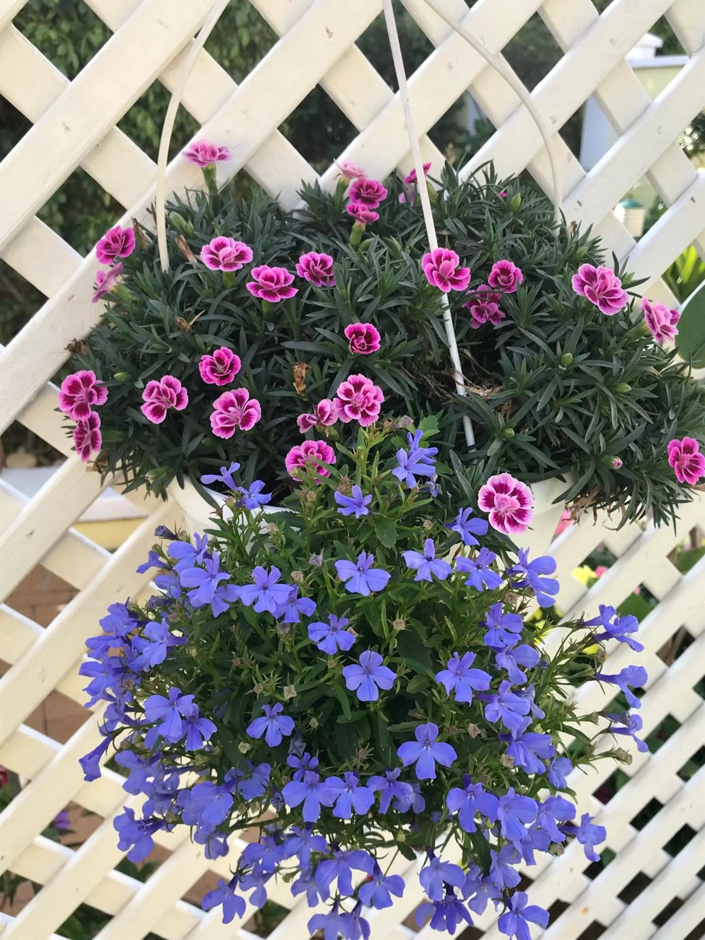 Garden in On the Bay