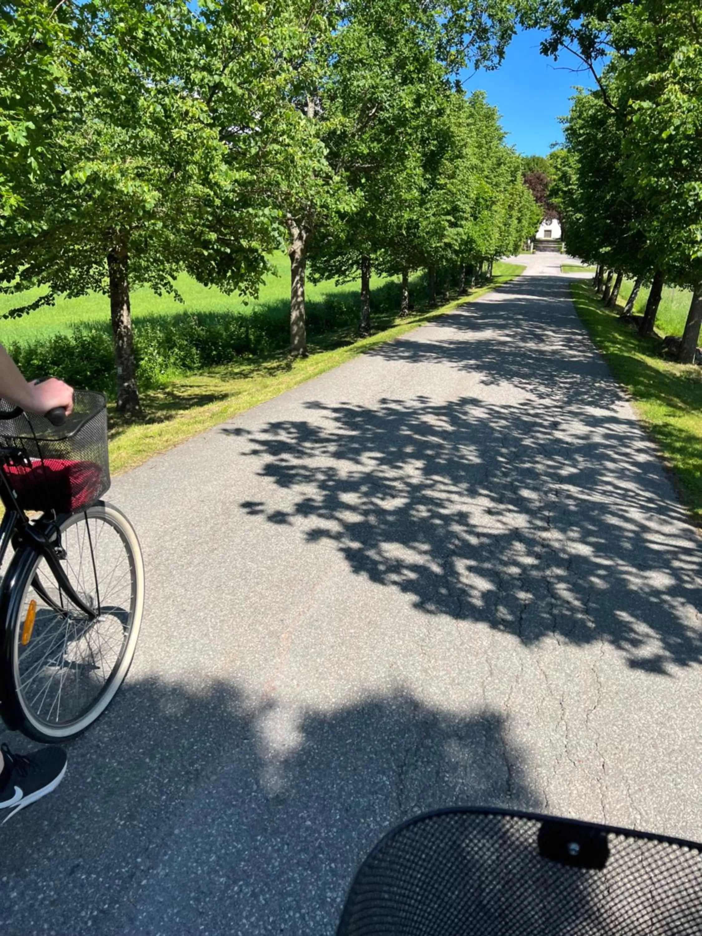 Cycling in Hedenstugan B&B Hotel