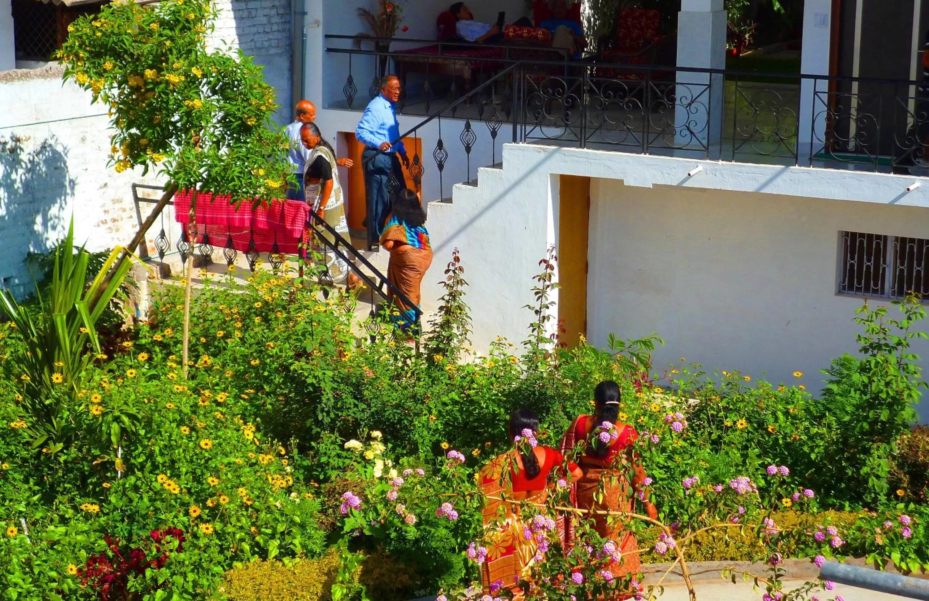 Day in Hotel Harmony