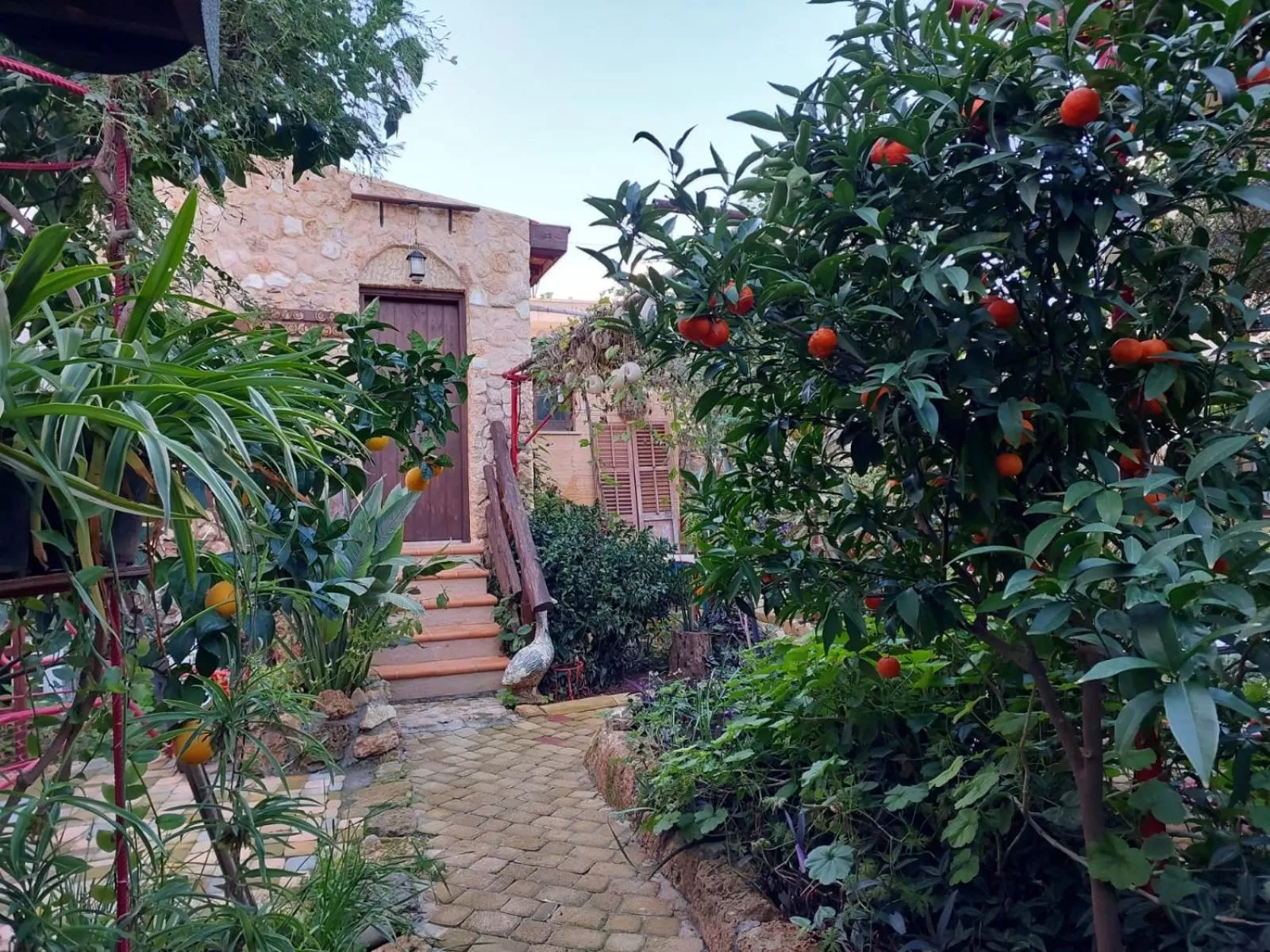 Garden in Mystery Garden Guest House