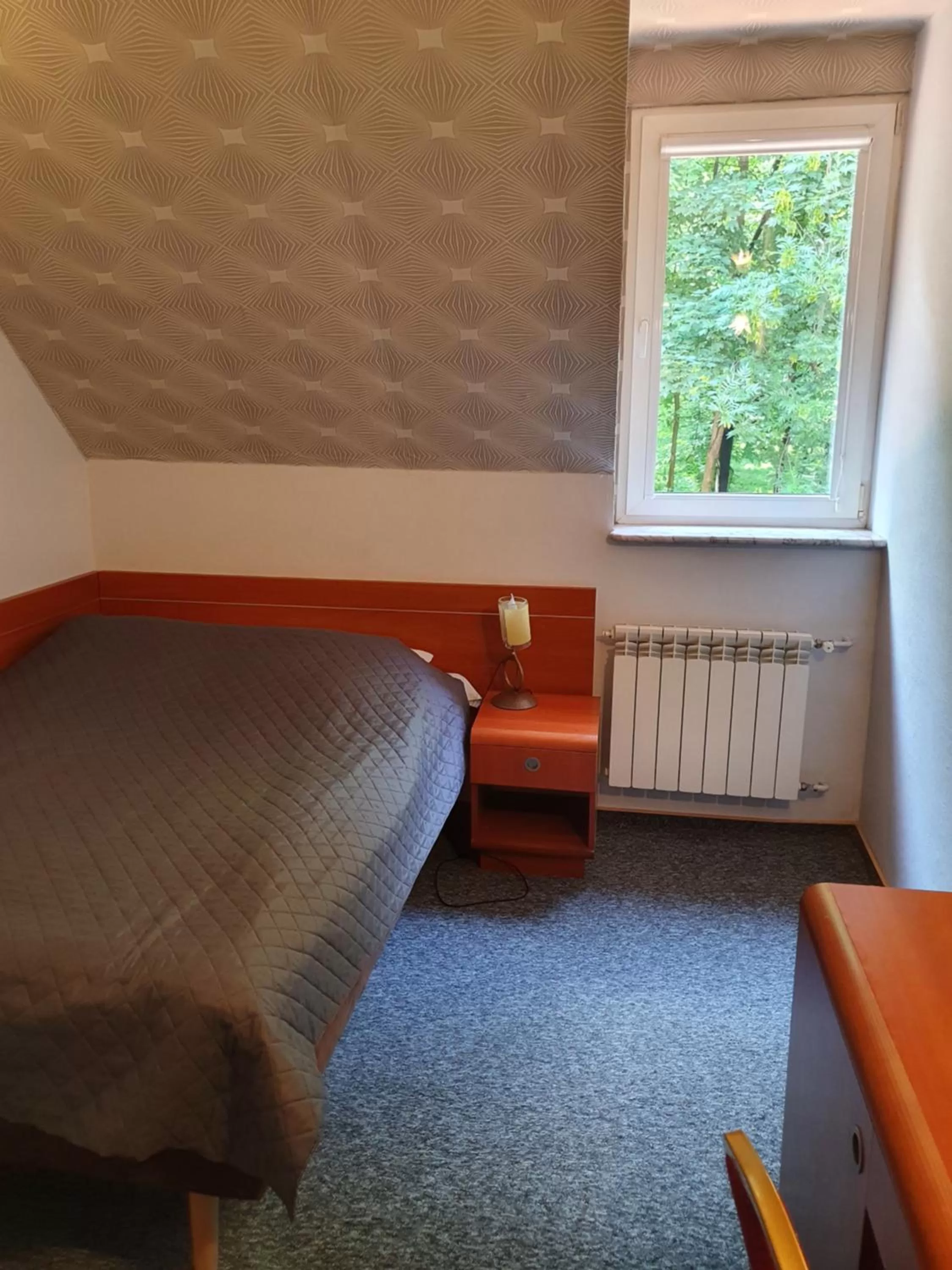 Double or Twin Room in Hotel Magnat