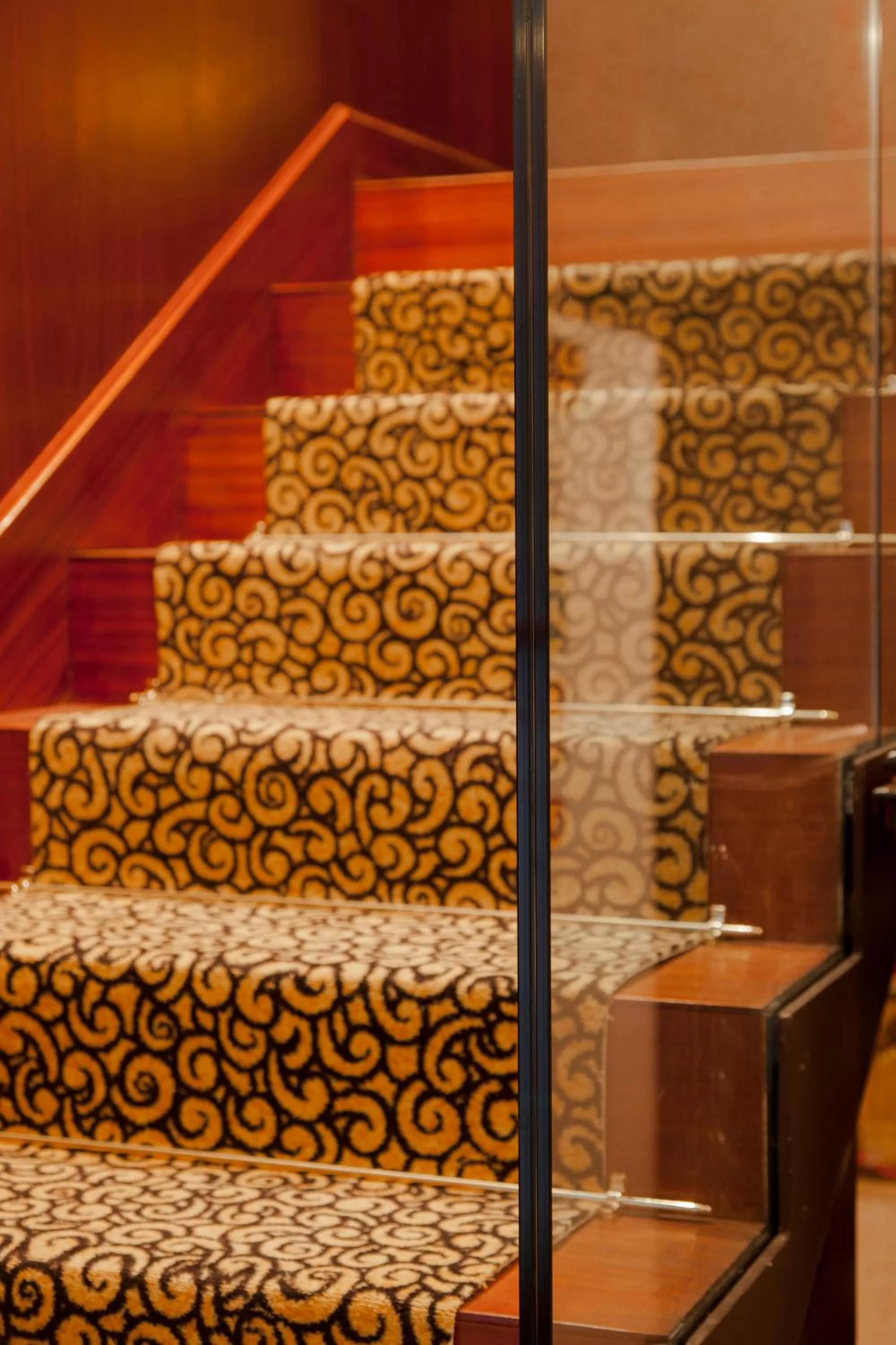 Area and facilities in Hotel Saturnia & International