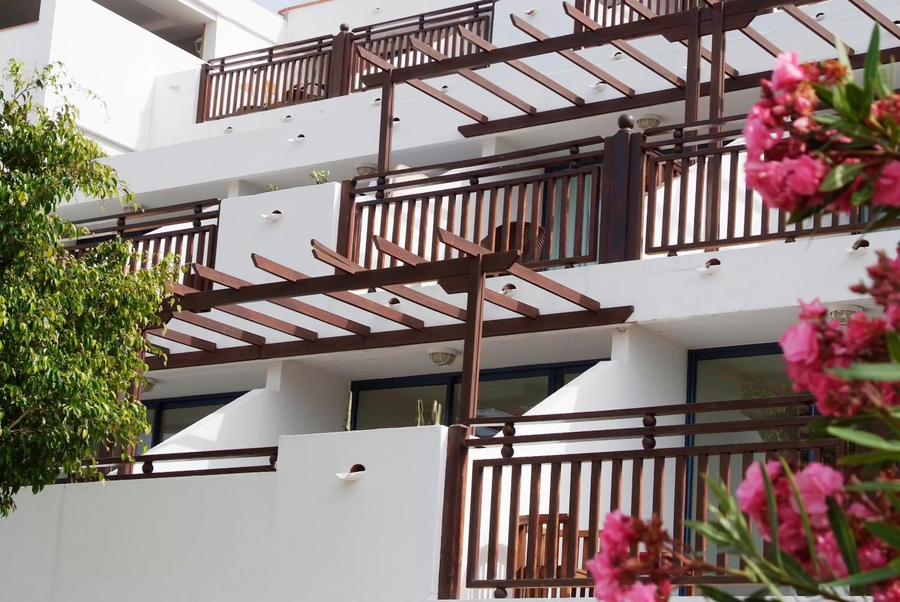 Photo of the whole room in Sandos Papagayo