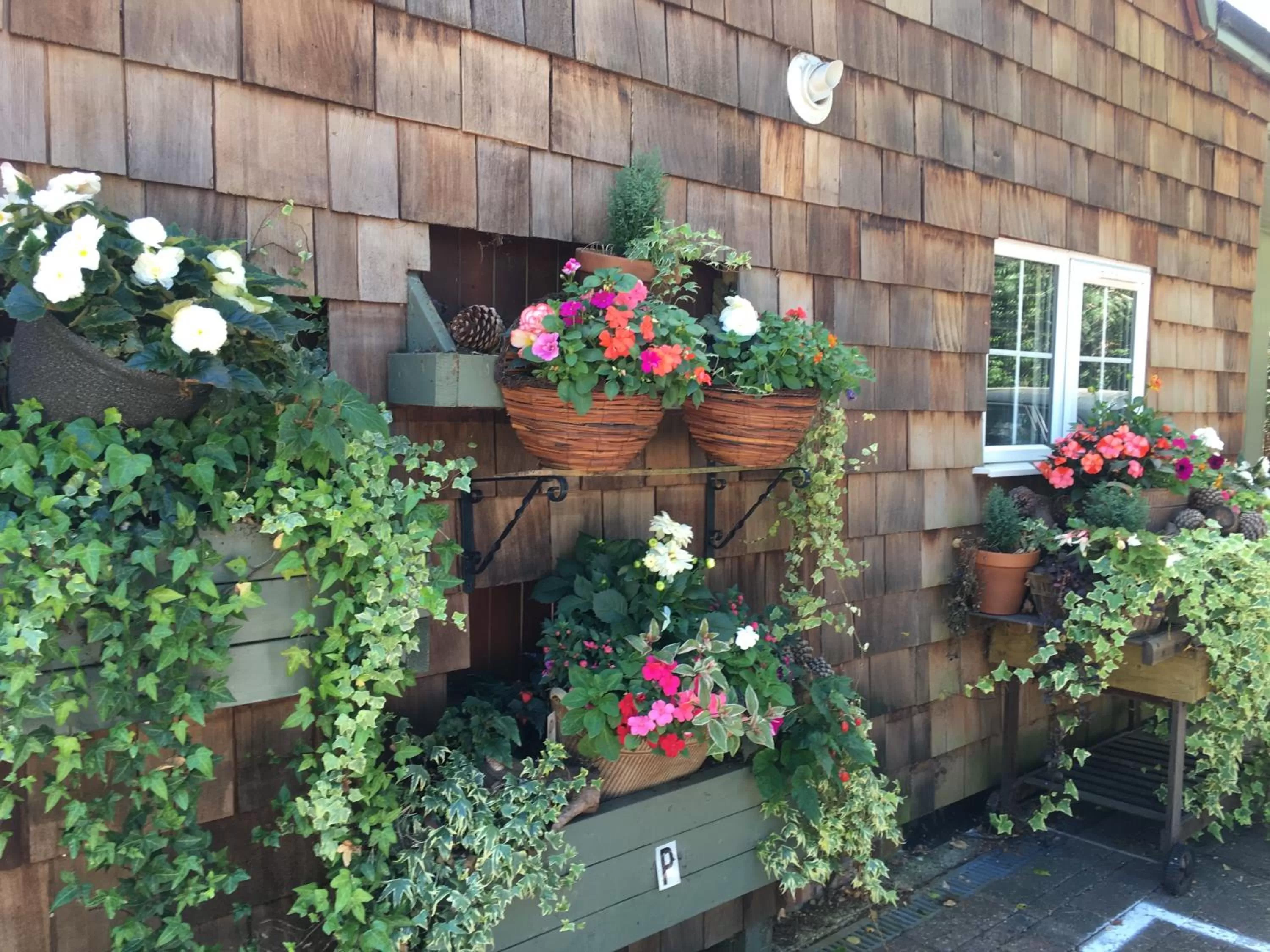 Petherton Cottage Studios