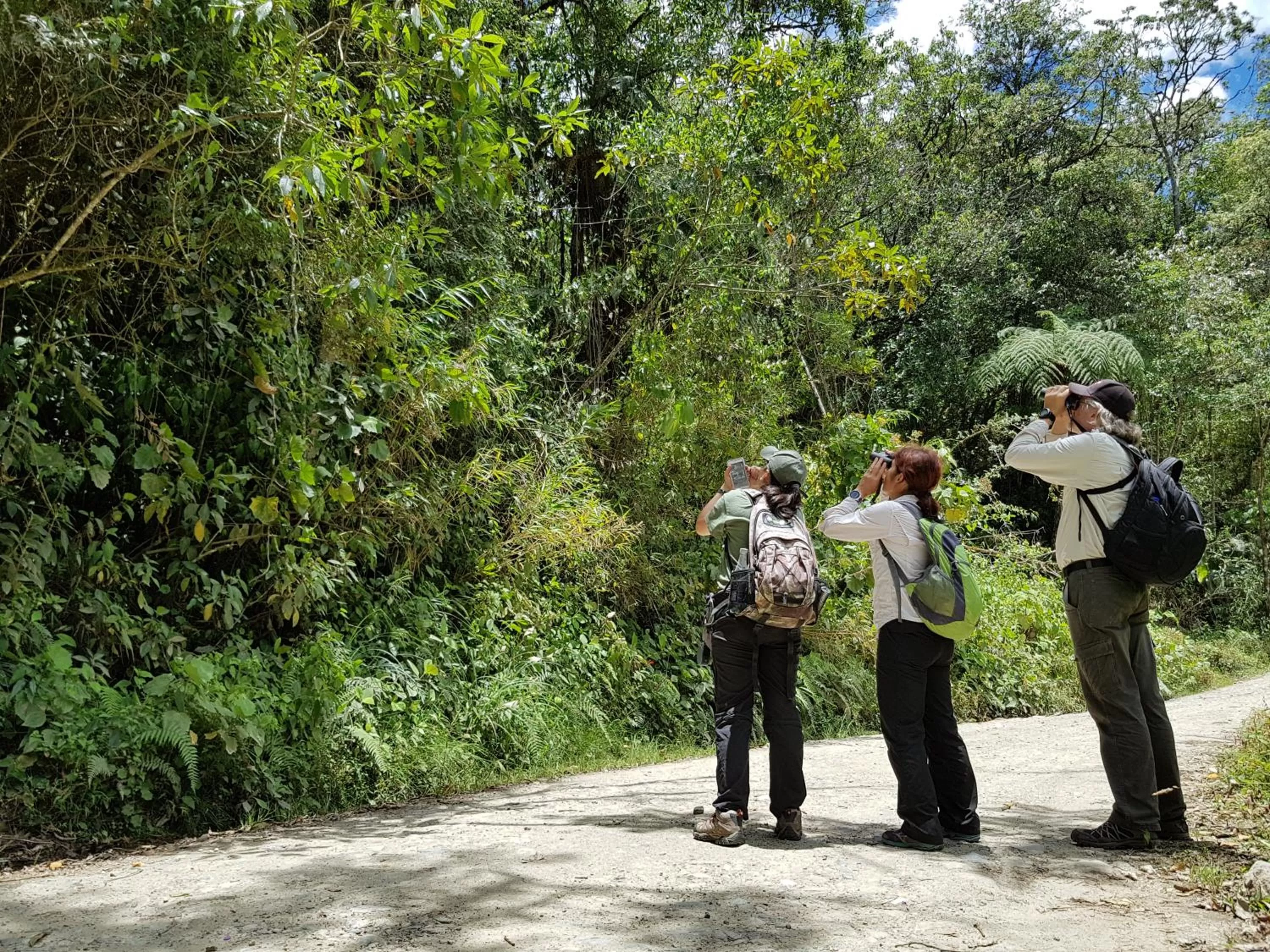 Activities in Beta Hotel