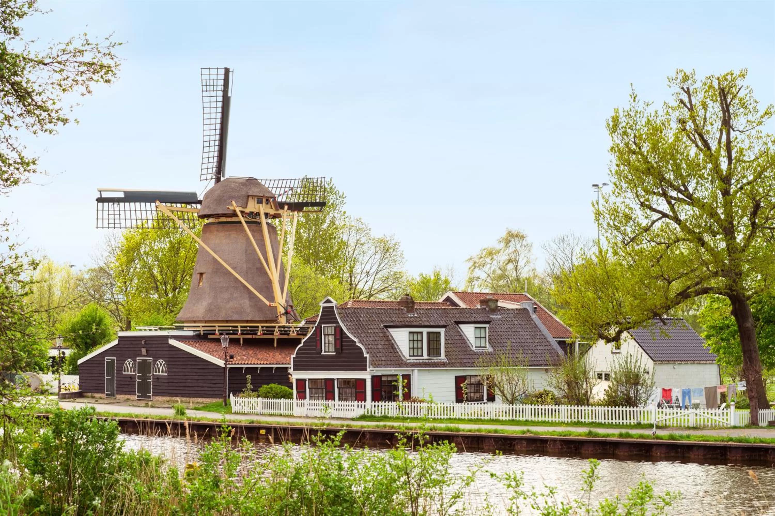 Activities in Tribe Amsterdam City