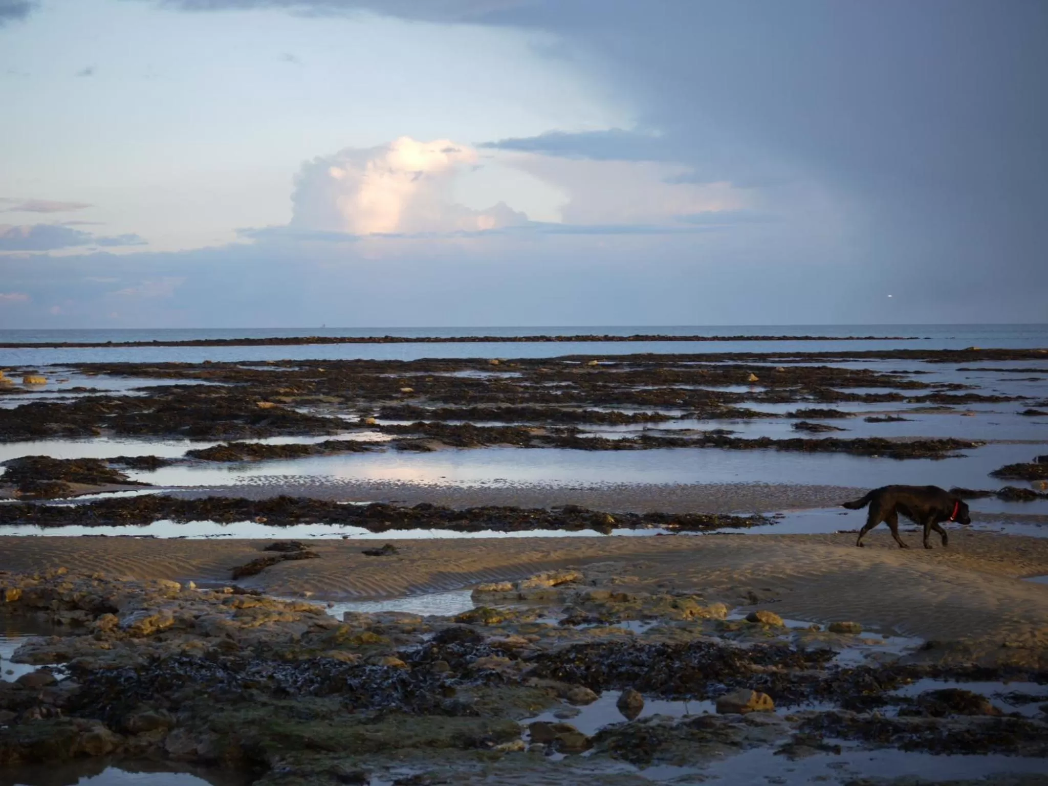 Neighbourhood in The Pilot Boat Inn, Isle of Wight